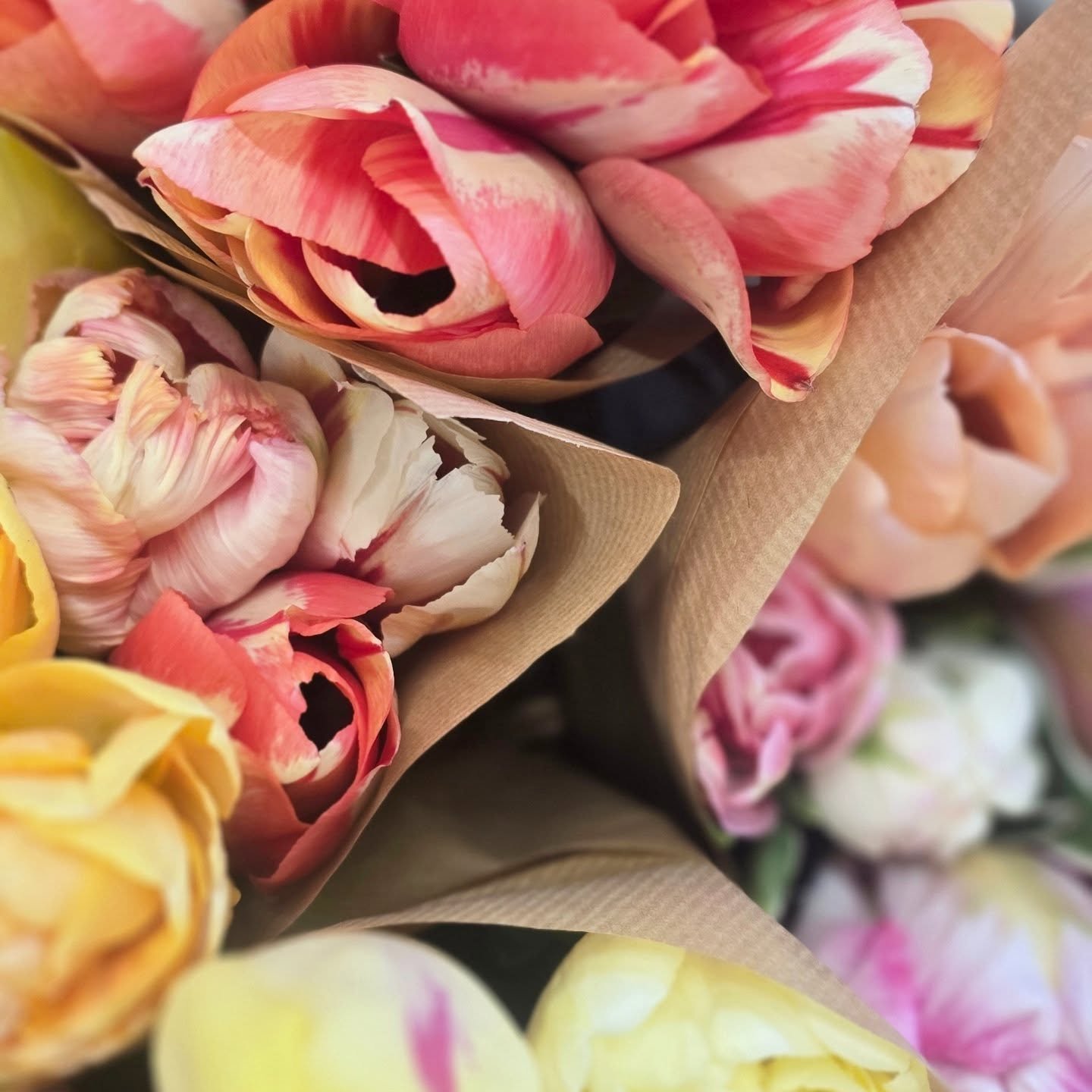 Locally grown. Locally loved. 🌷
These beautiful tulips come from @fieldflowershaslemere just down the road from us &mdash; and they land in store every weekend. Two bouquets left today if you're passing.
Some things are just worth the detour.