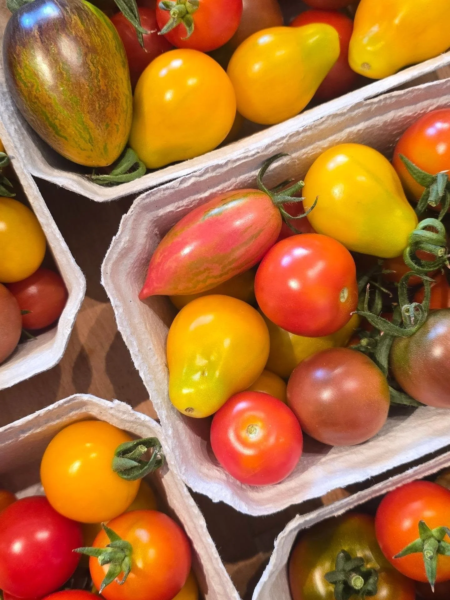 Locally grown Biodynamic (the next step up from organic ✨️) tomatoes. Get 'em while you can 🍅