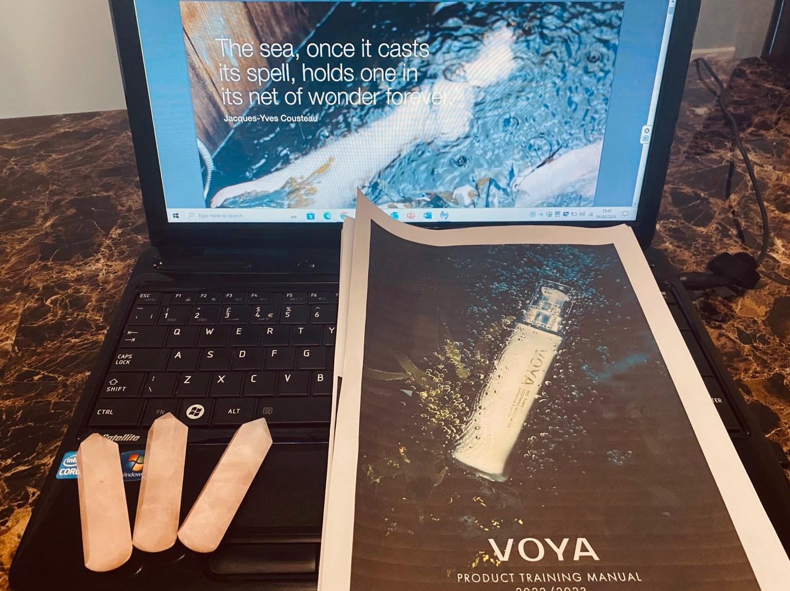 VOYA professional skincare training resources