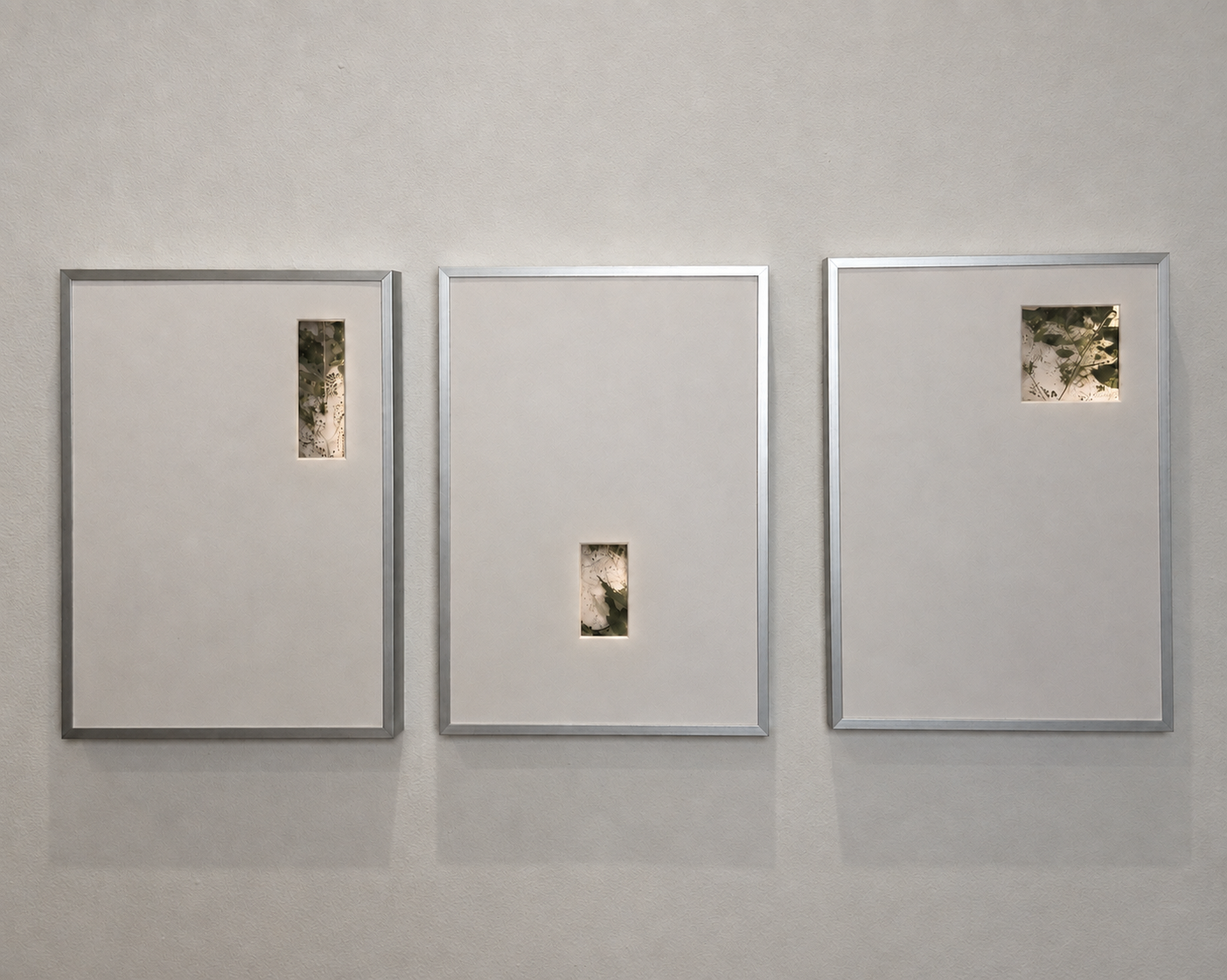 Three framed wall art pieces with white backgrounds and small cut-out window sections showing images of foliage, hanging on a beige wall.