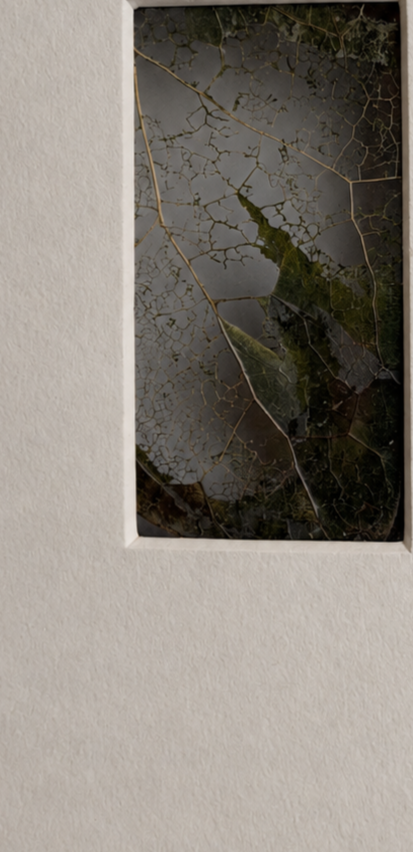 Close-up of a cracked windowpane with green leaves visible behind it, set in a white wall.