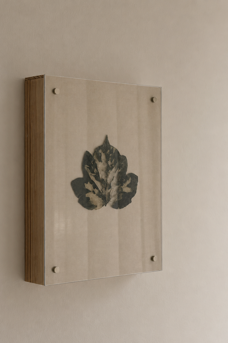 Decorative framed art hanging on a beige wall, featuring a dried leaf in black and beige tones