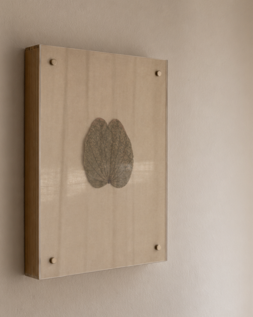 Framed pressed leaf artwork hanging on a beige wall.