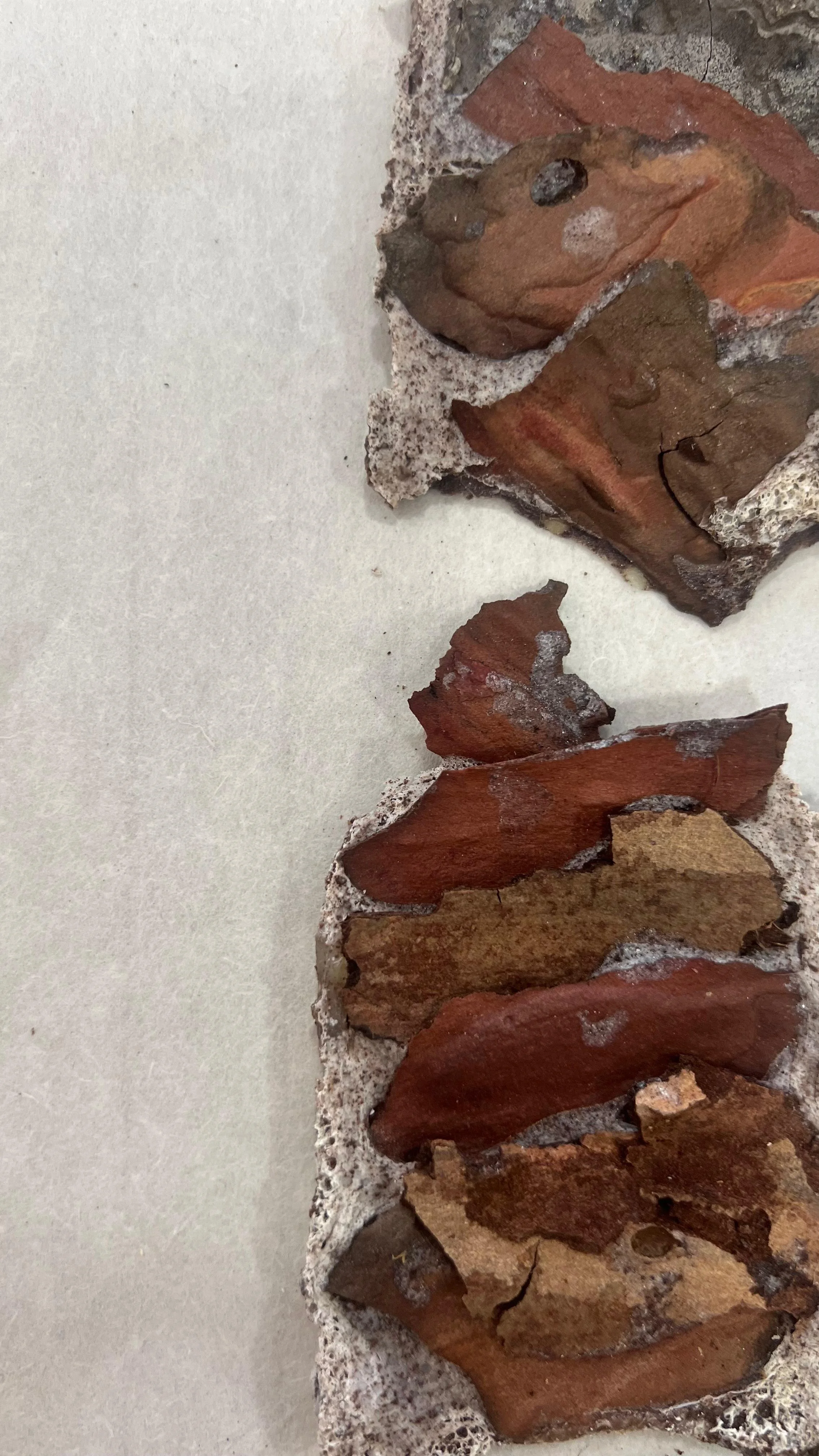 A close-up of a row of broken bricks embedded in concrete, with some cracks visible.