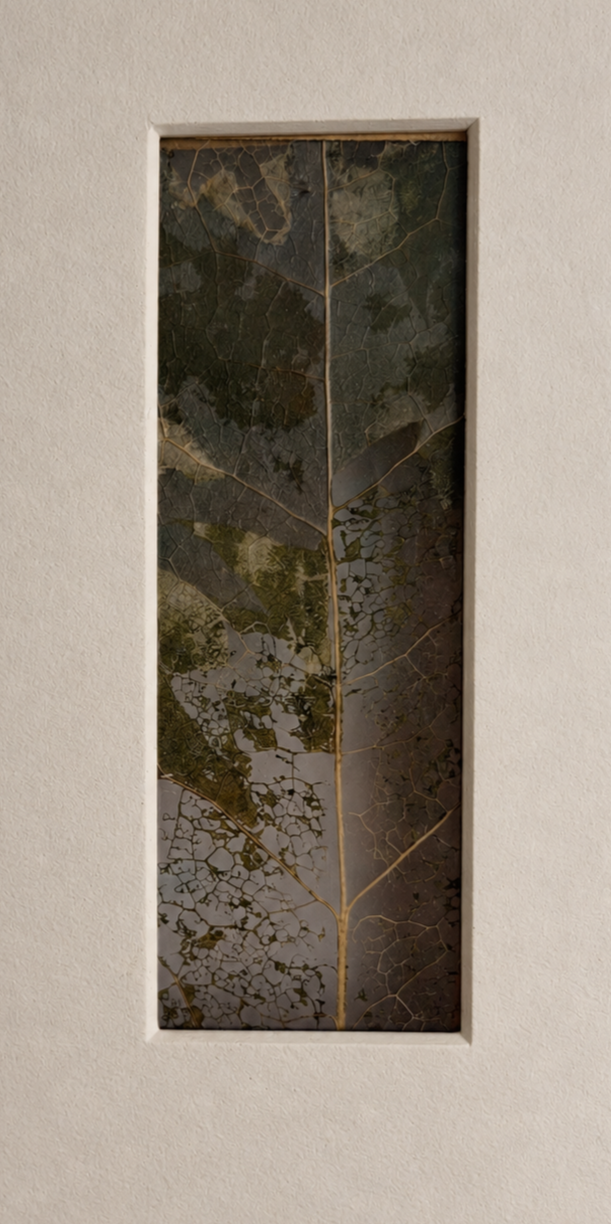 Close-up of a small rectangular window with dark glass and leaf-like patterns, set in a plain, light-colored wall.