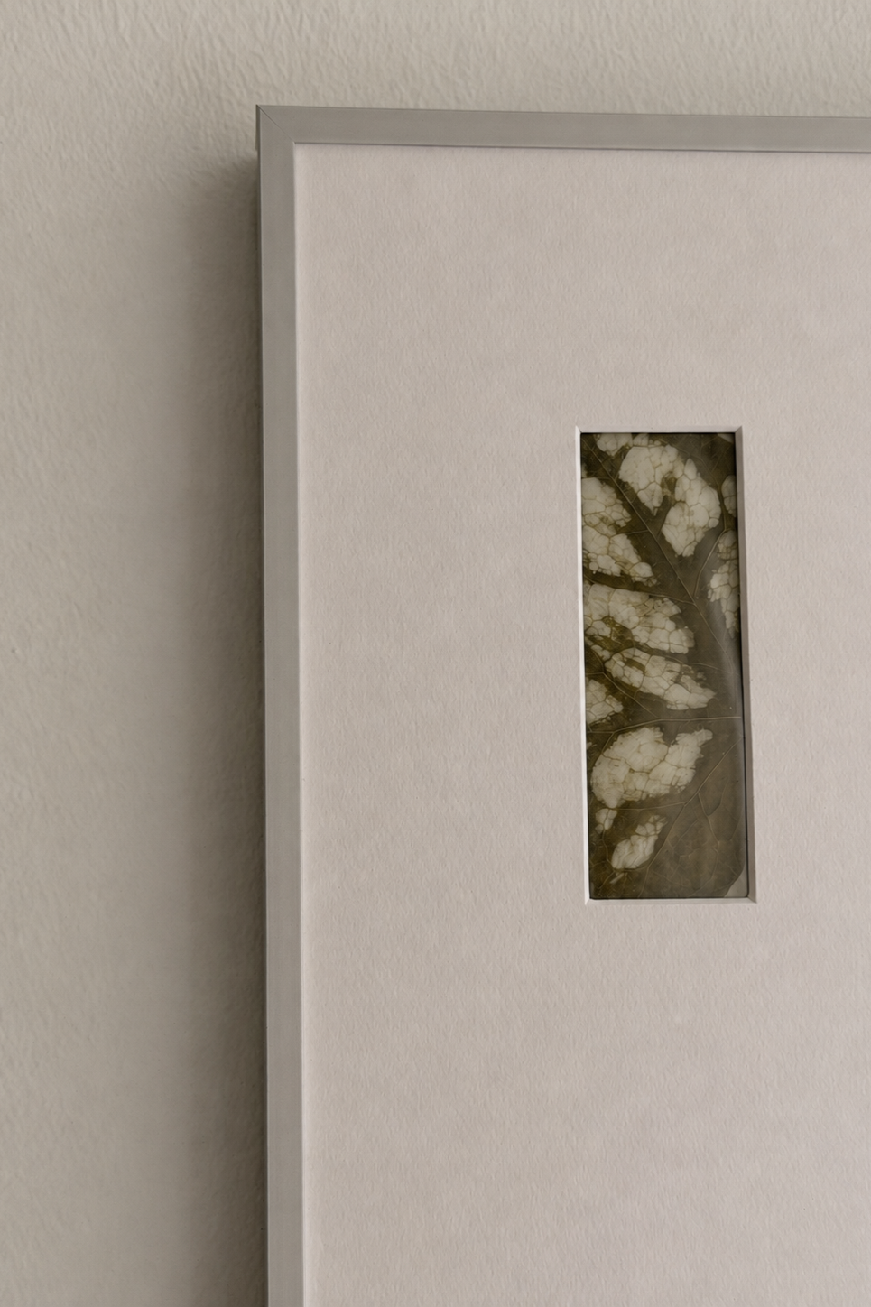 Close-up of a white picture frame with a rectangular cutout showing a leaf with green and white marbled patterns, hanging on a wall.