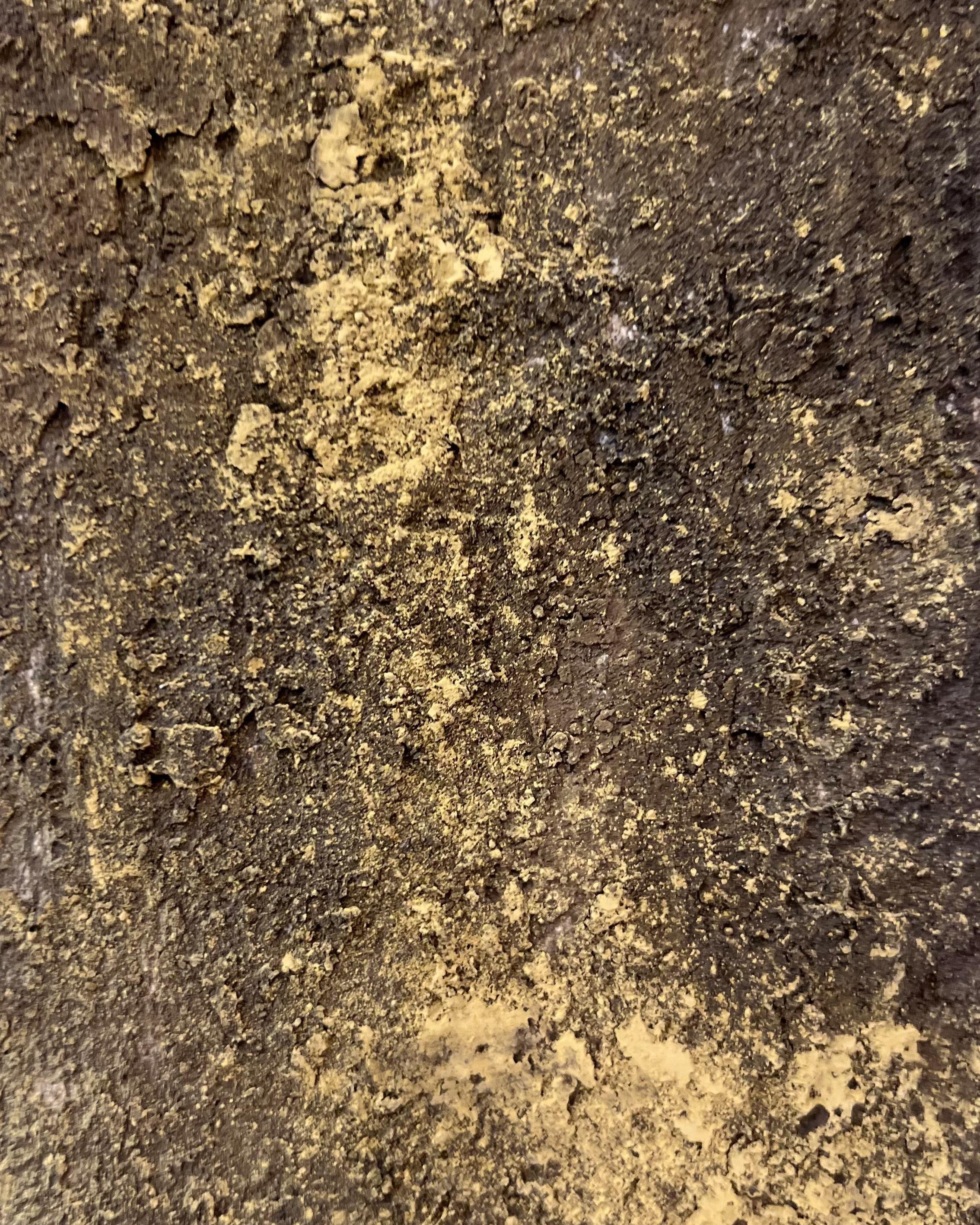Close-up of soil and dirt with small rocks and organic matter.