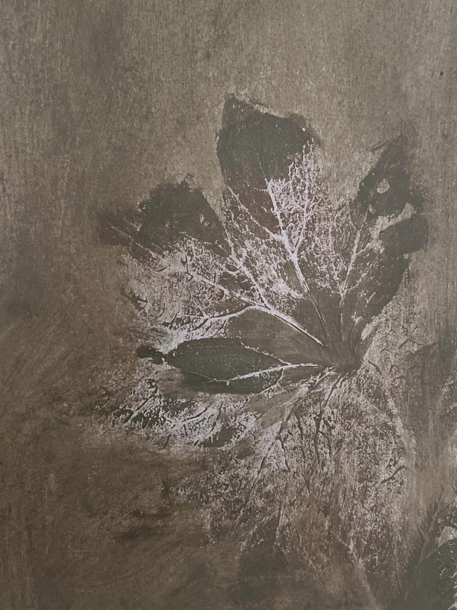 Close-up of a leaf with a spider web on it, set against a textured brown background.