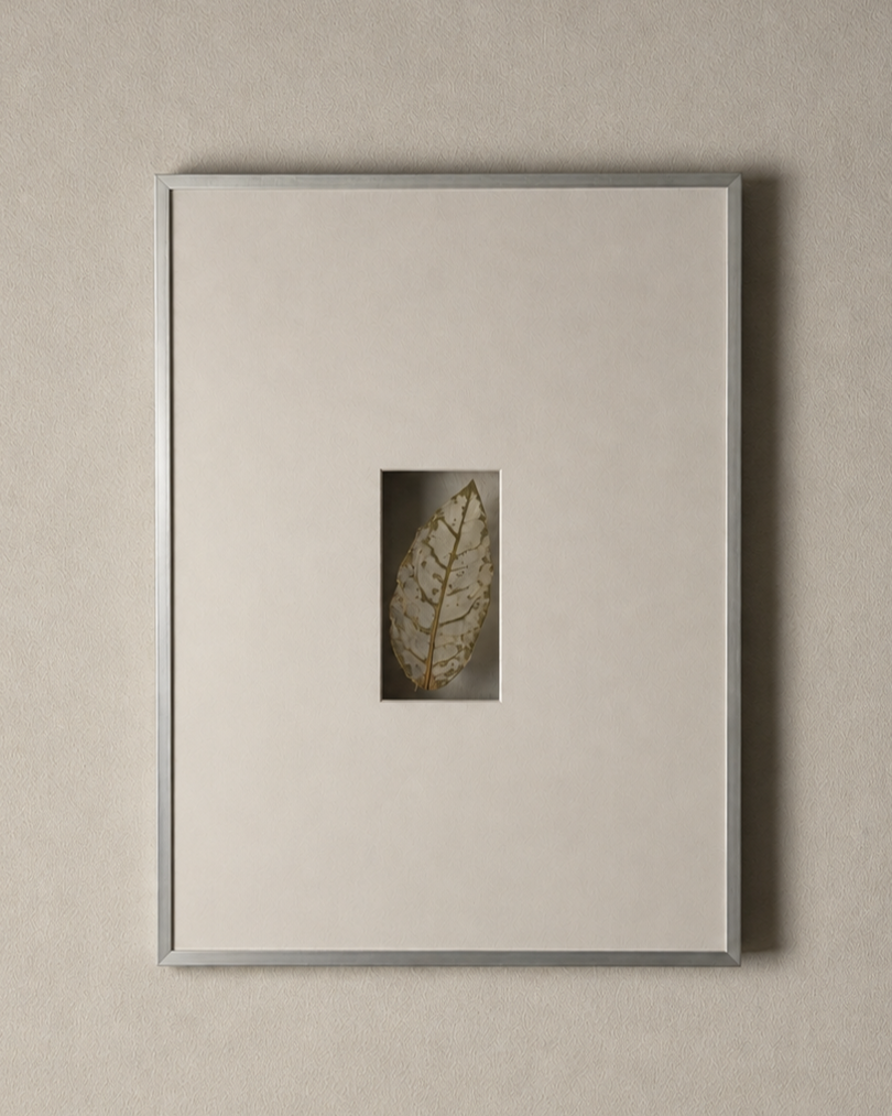 Decorative wall art featuring a framed leaf with a central cutout.