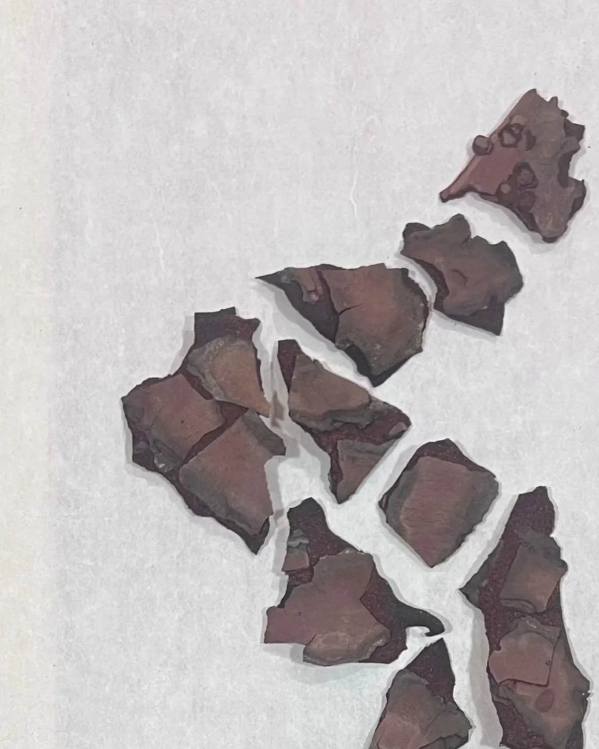 Broken and shattered pieces of a rusted metal object arranged on a white background.