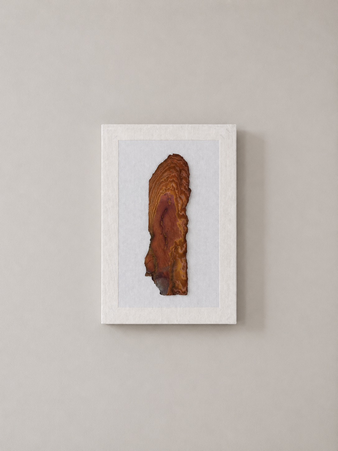 A piece of polished brown and reddish stone or mineral mounted on white paper in a white frame, hanging on a light gray wall.