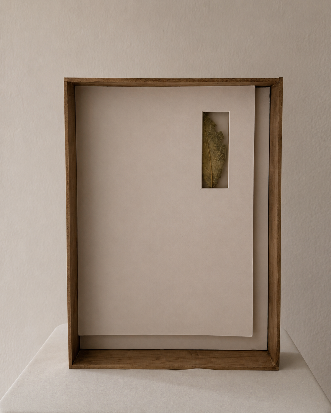 A wooden display case with a white back panel, containing a single dried leaf in a small vertical window.