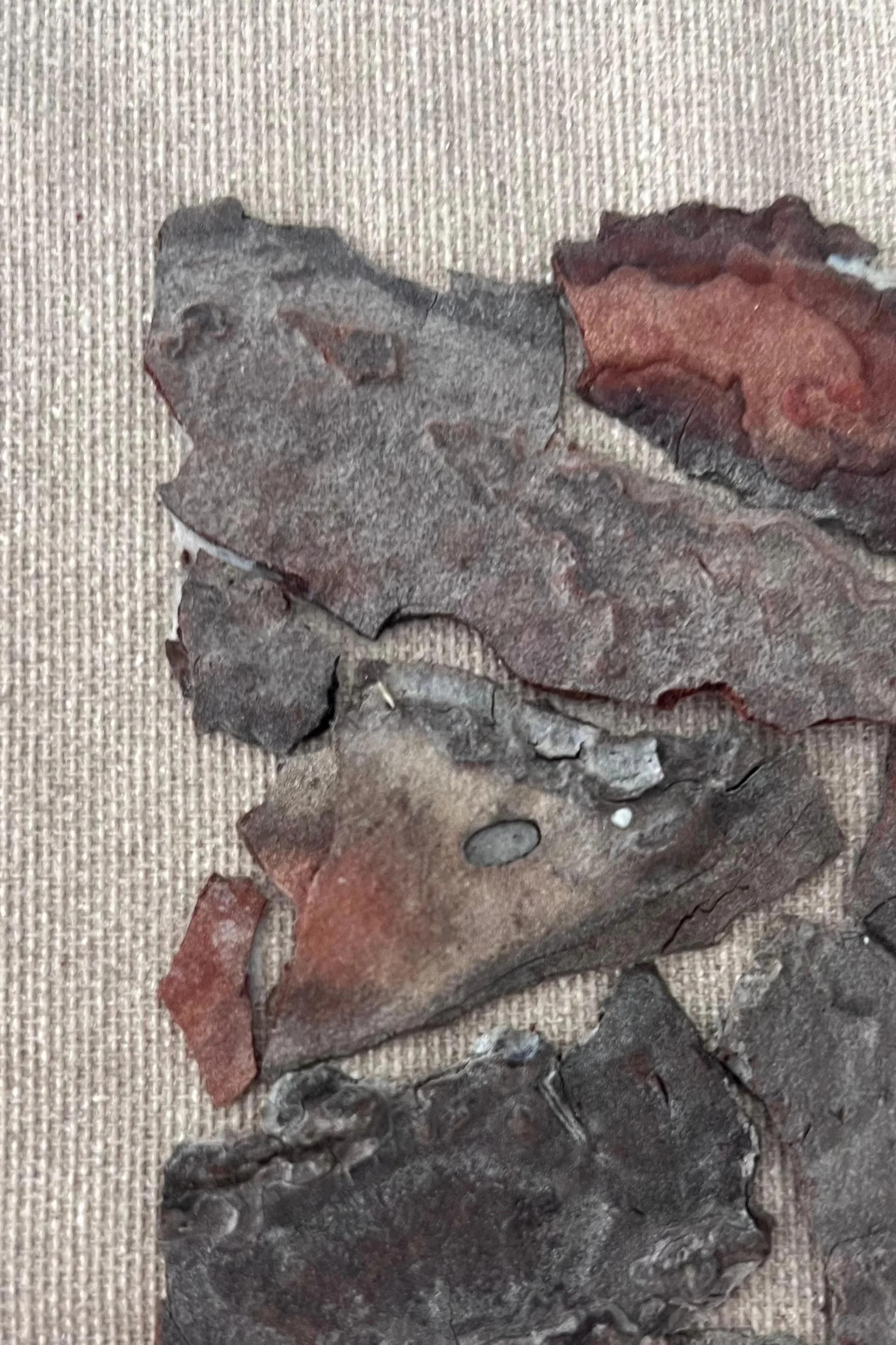 Close-up photograph of various rocks, some with fossils, arranged on a light-colored fabric background.