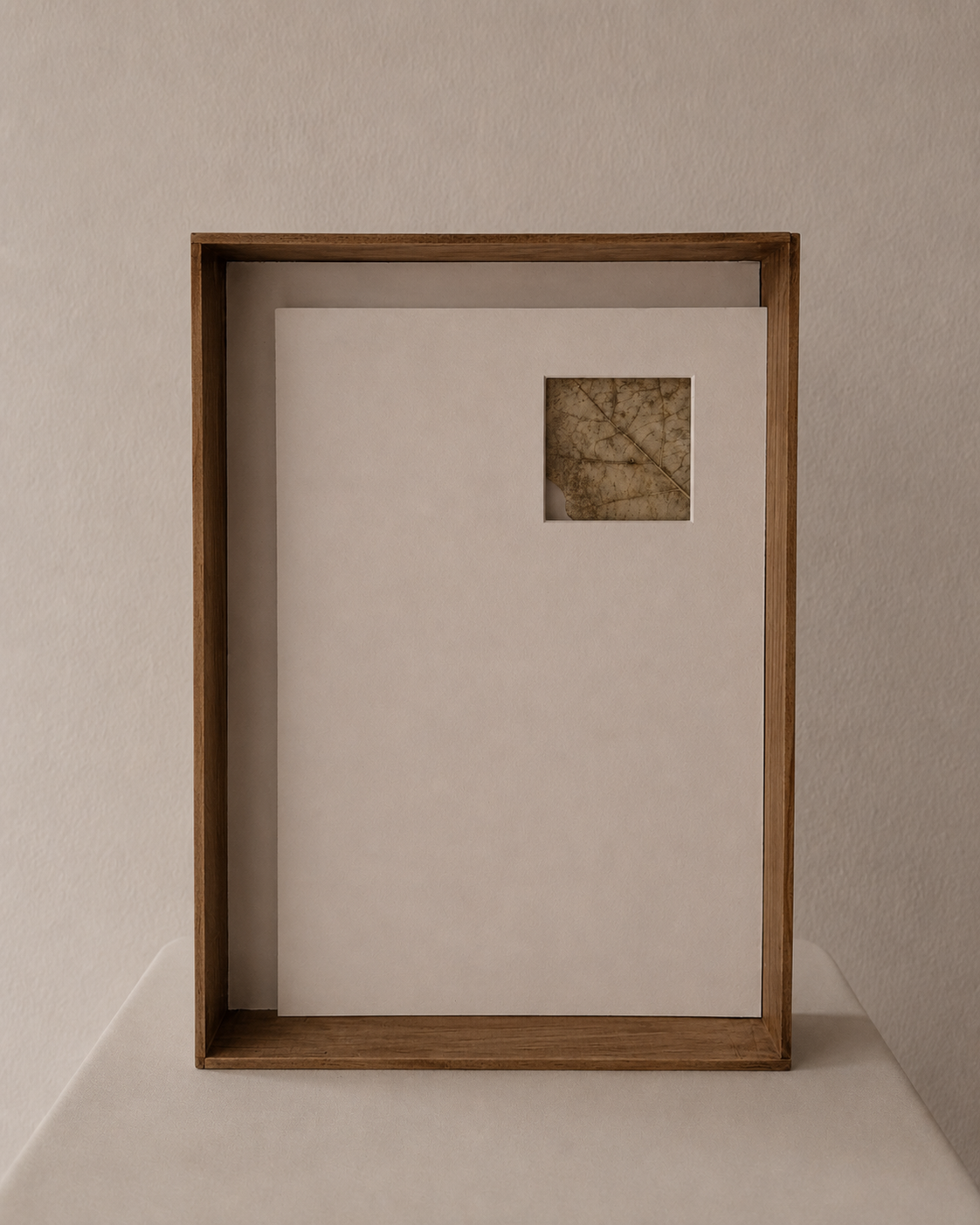 A wooden display case with a white background and a small square cutout showing a dried leaf inside.