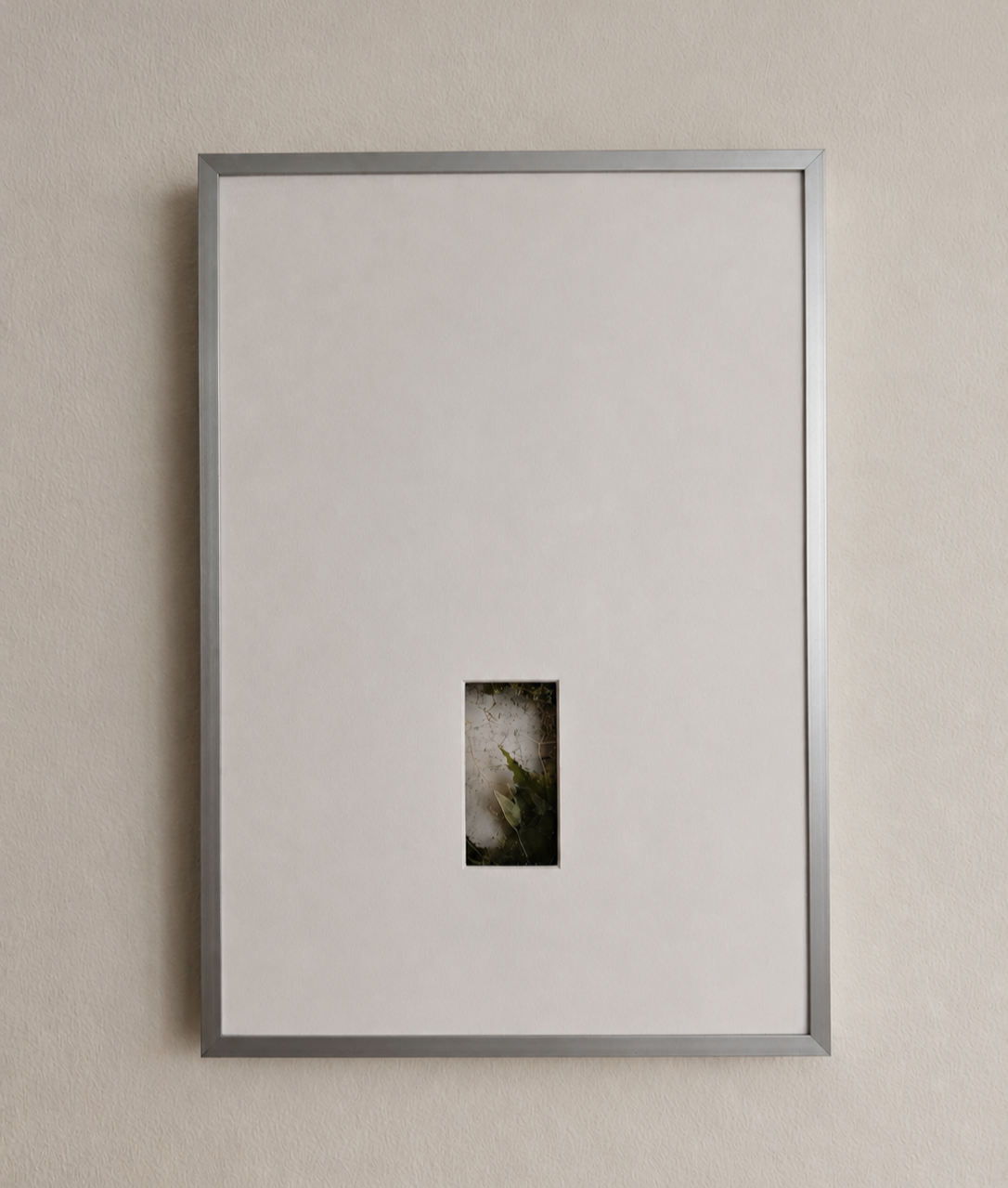 Framed whiteboard with a small rectangular window revealing dried plants inside.