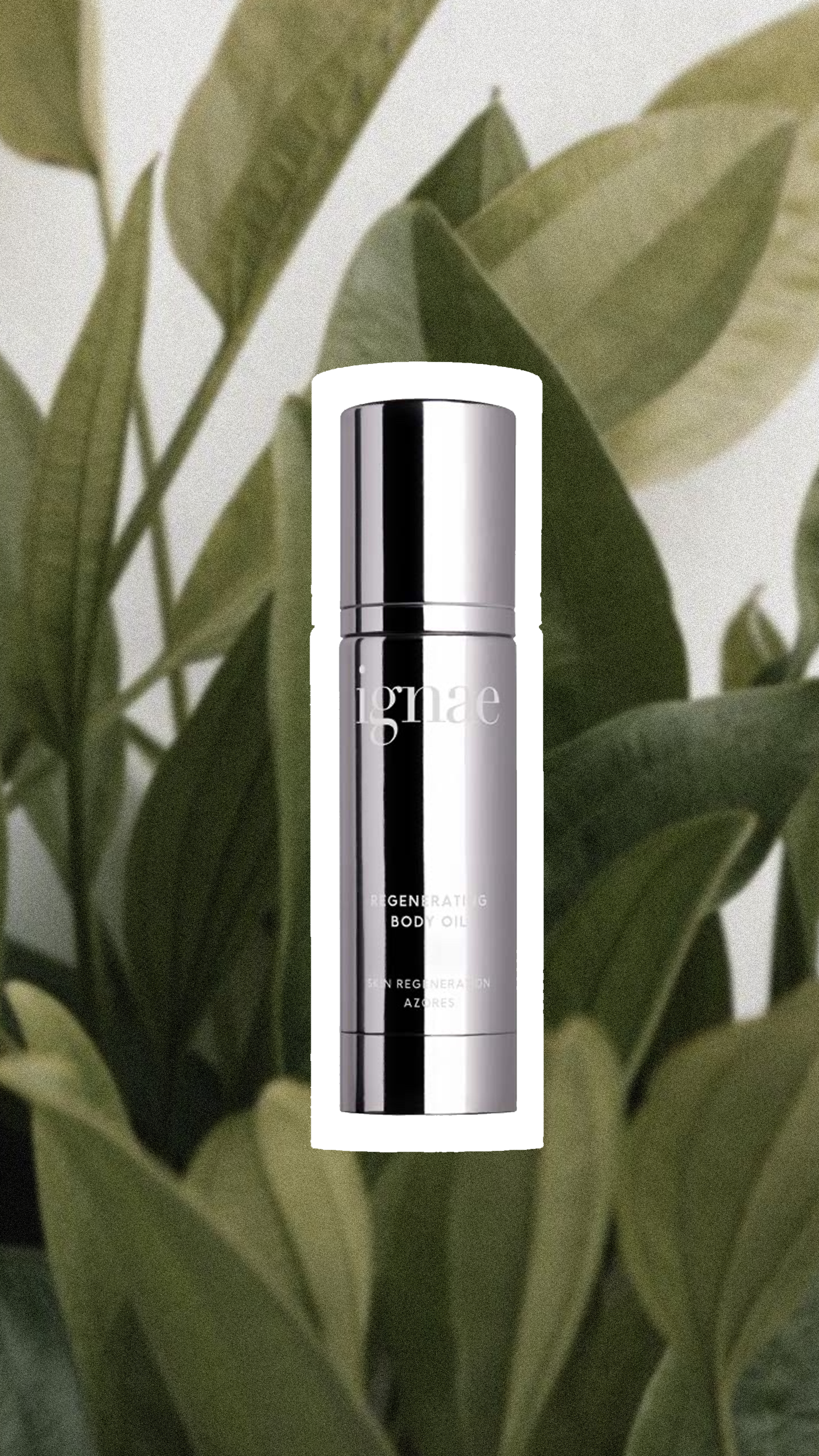 A silver bottle labeled 'regenerating body oil' is positioned against a backdrop of green leaves.