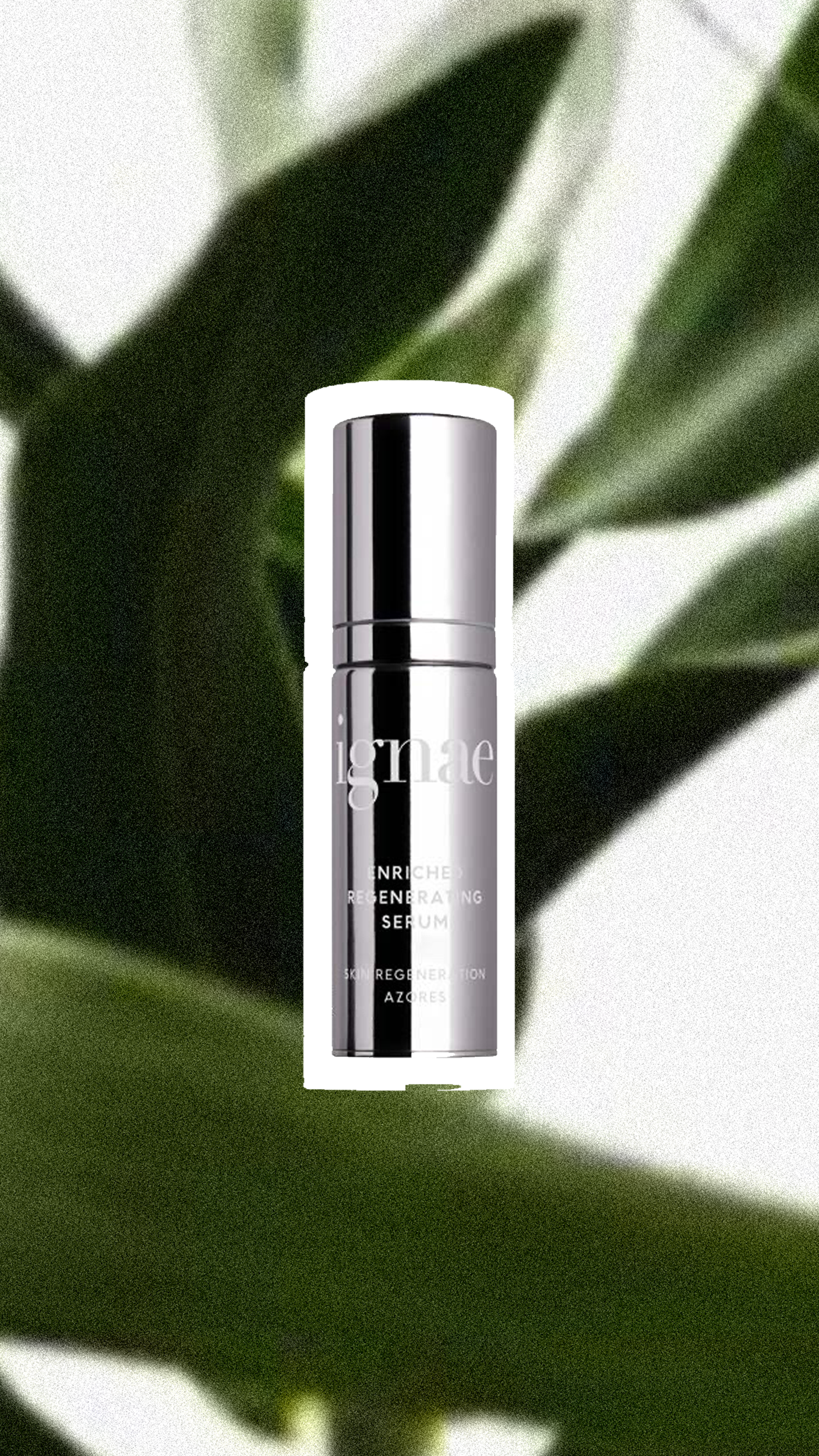 A silver bottle of skincare serum labeled 'Ignaae' against a background of dark green leaves.
