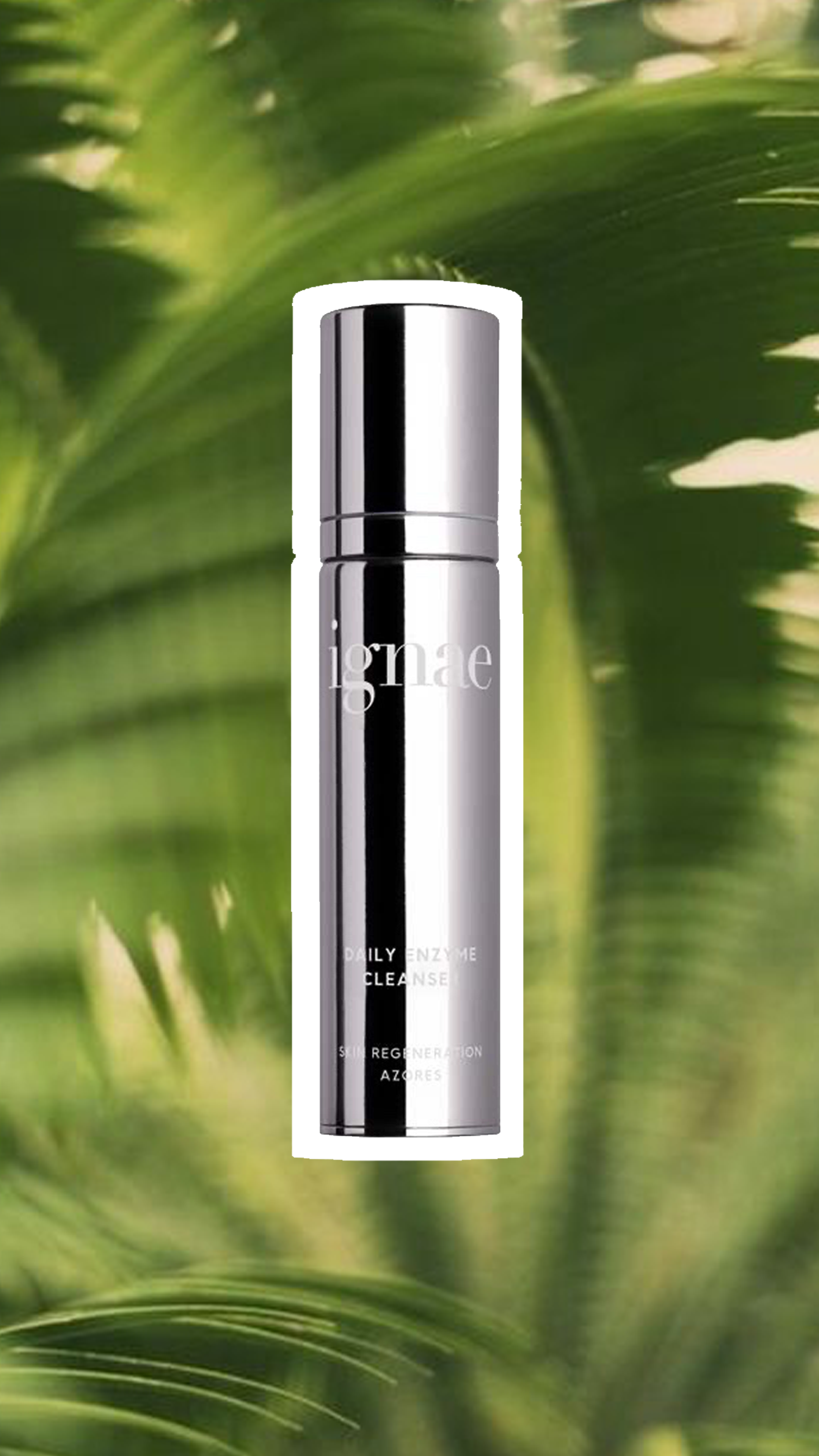 A silver cylindrical bottle with a black stripe and white text, set against a background of large green leaves.