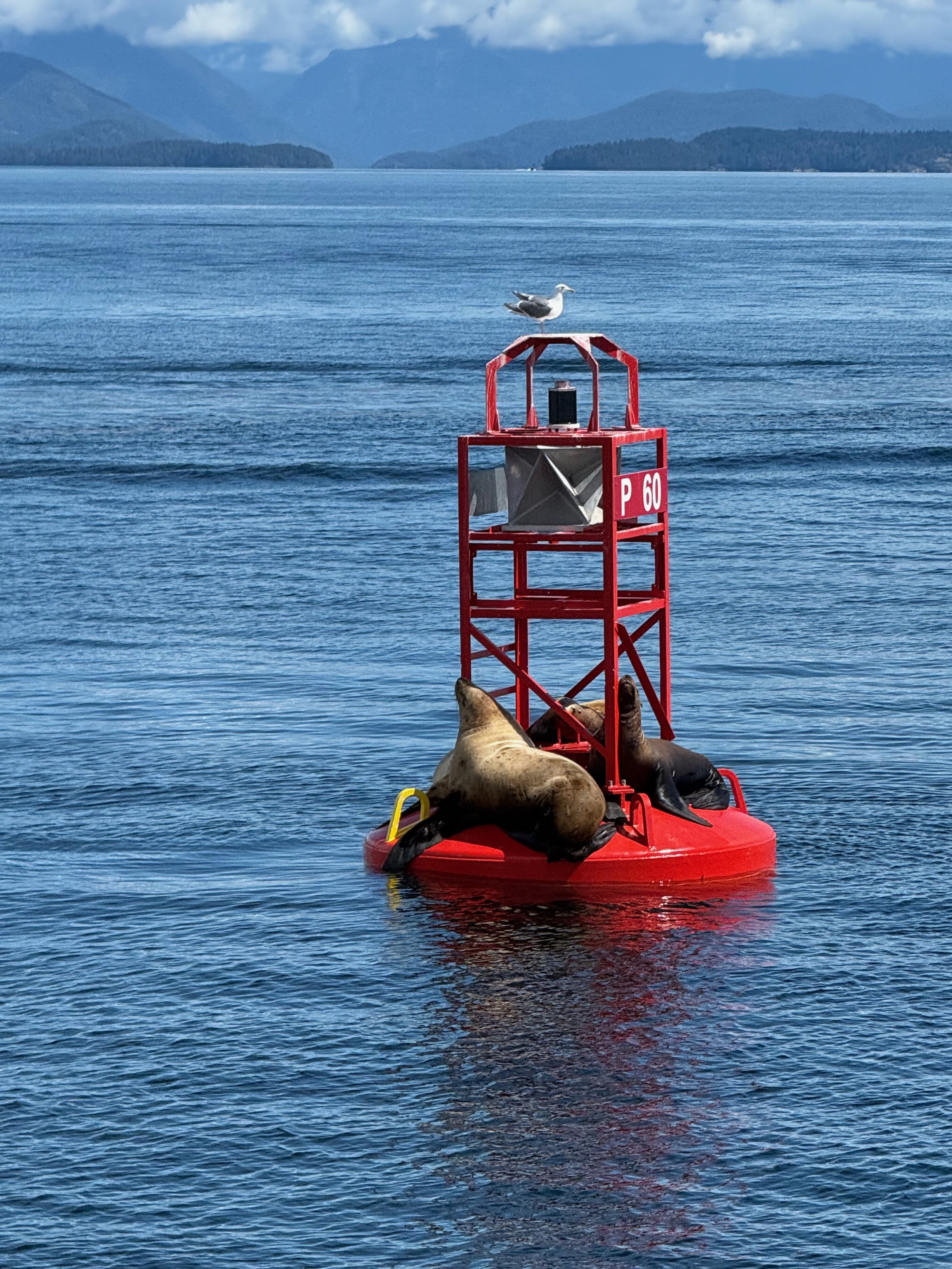 Seals!