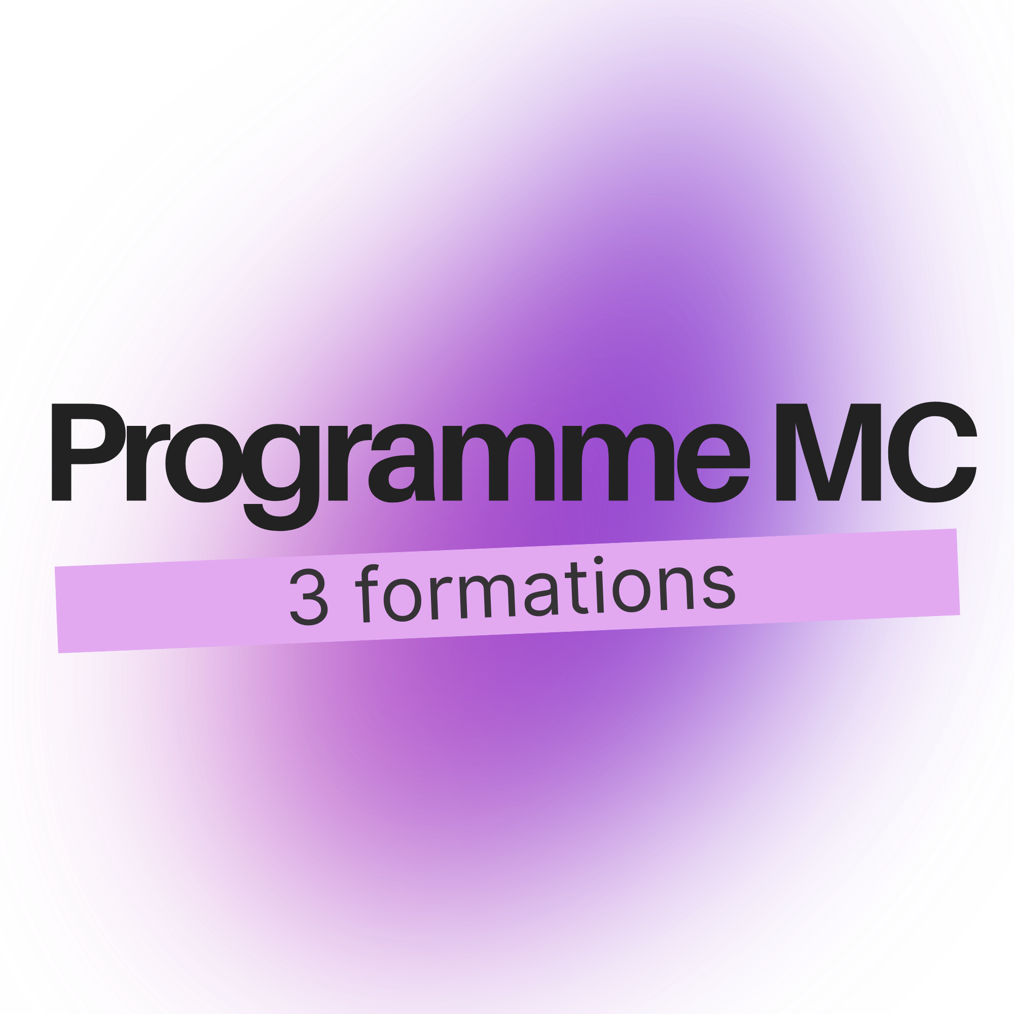 Workshop MC - programme complet