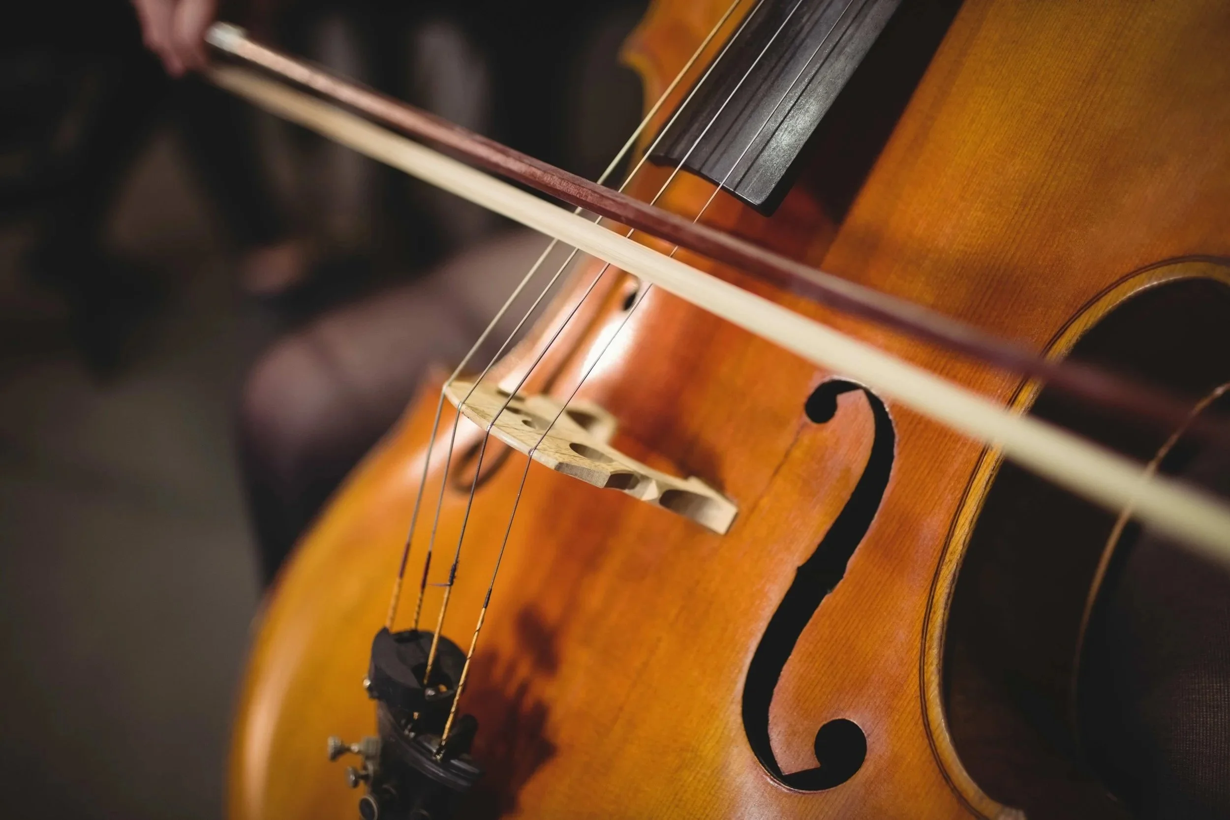Vermont Cellist Kim Hardy