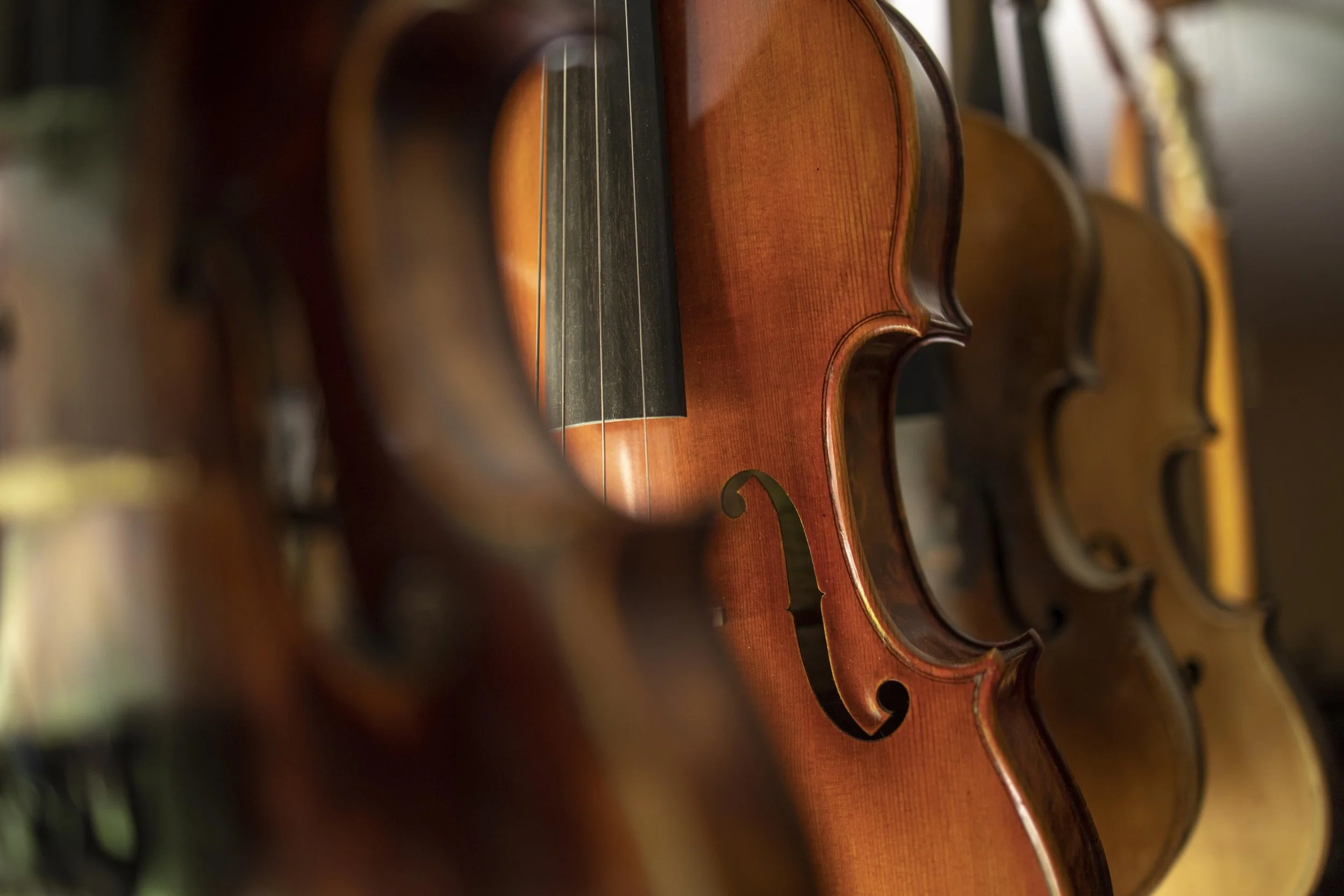 String Instruments Small Ensembles Cello Vermont Cellist String Quartet String Group Vermont