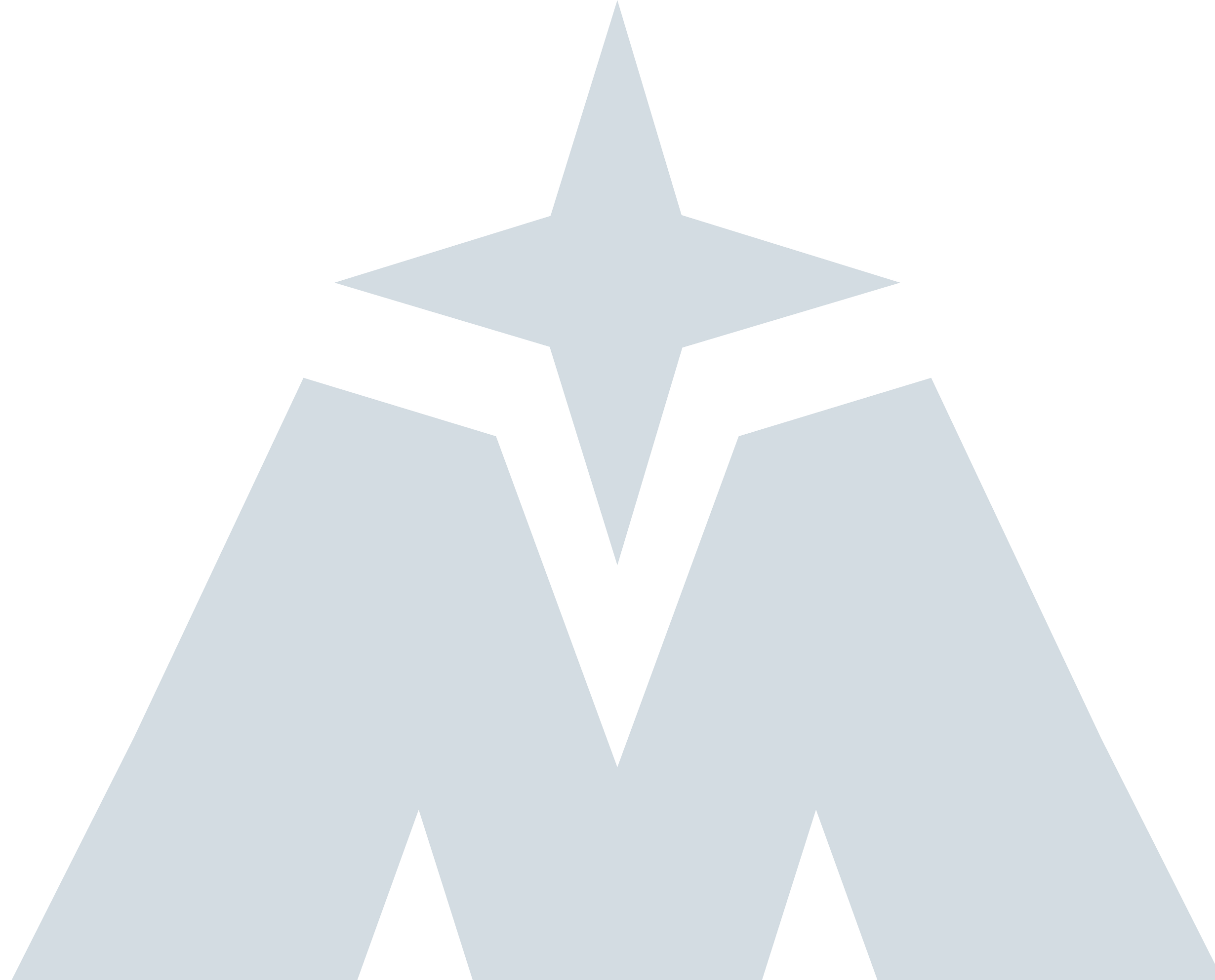 Close-up of a large star-shaped badge with a black background and white and gray lettering.