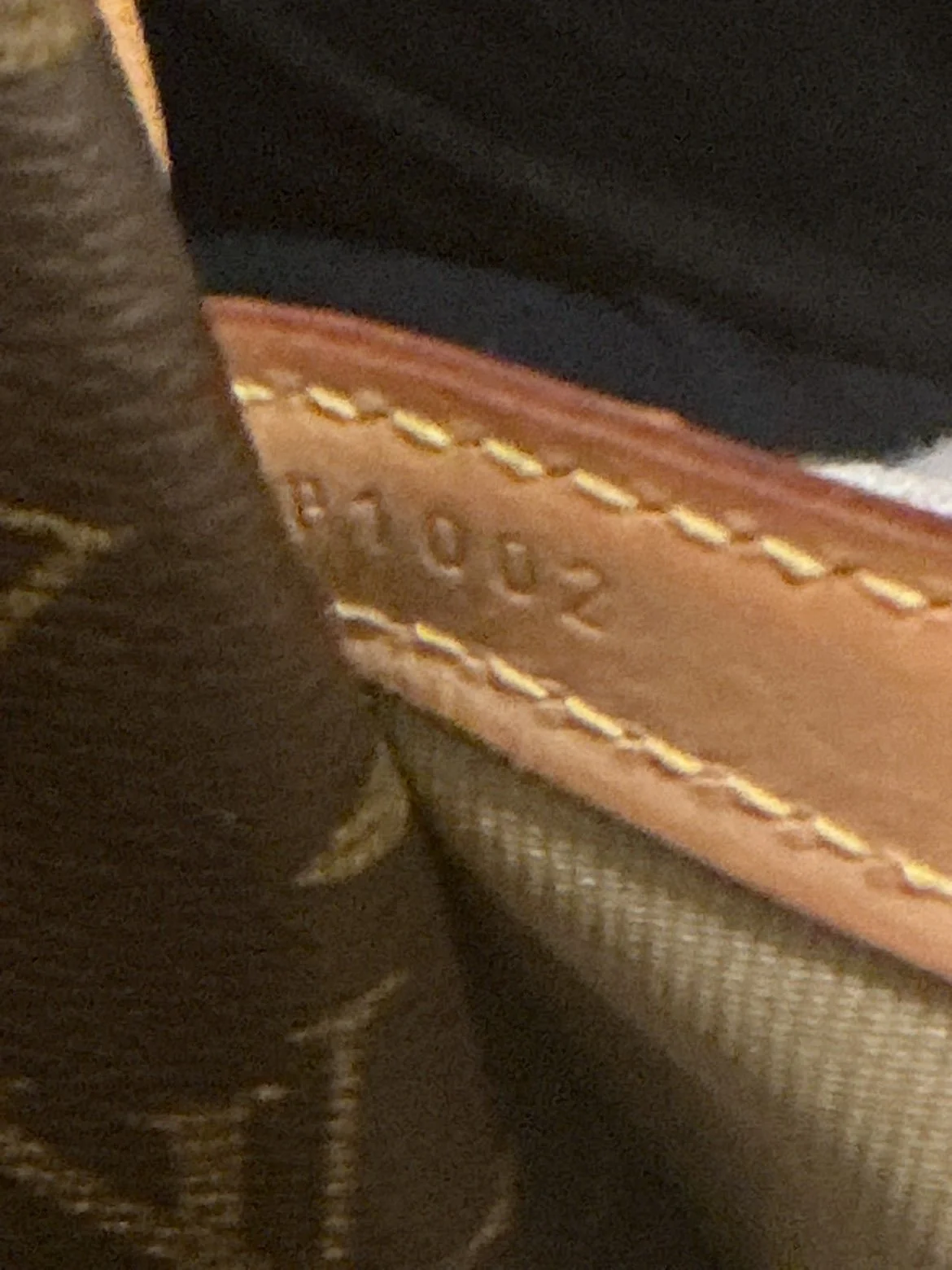 IMG_8716.jpeg