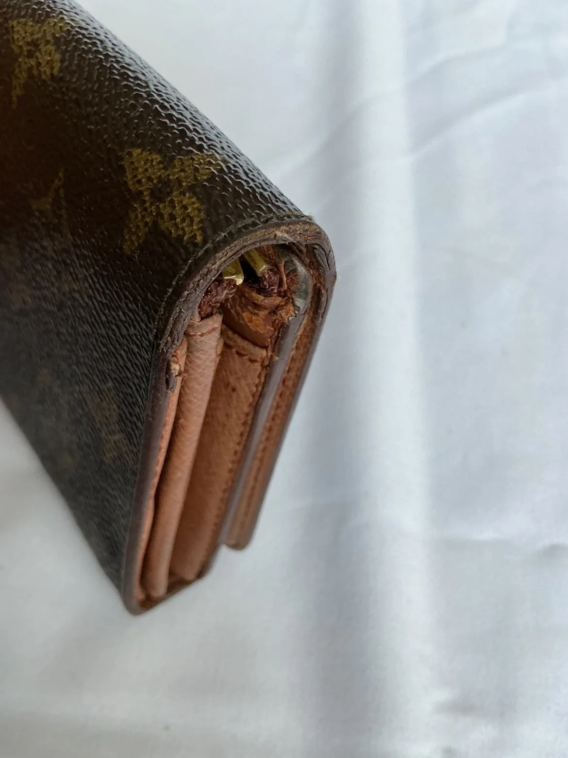 IMG_0242.jpeg