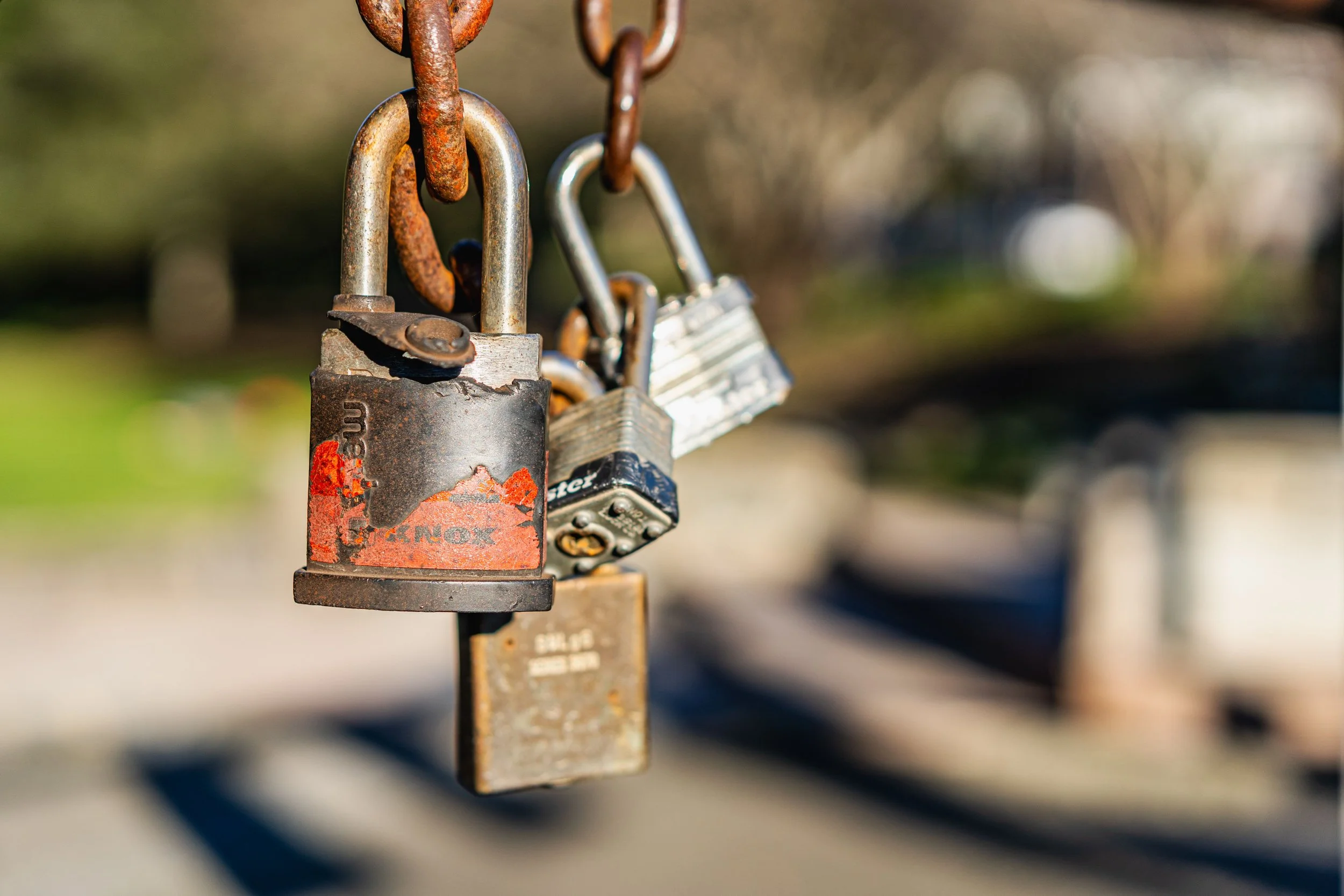 Safety compliance consultation and risk assessment