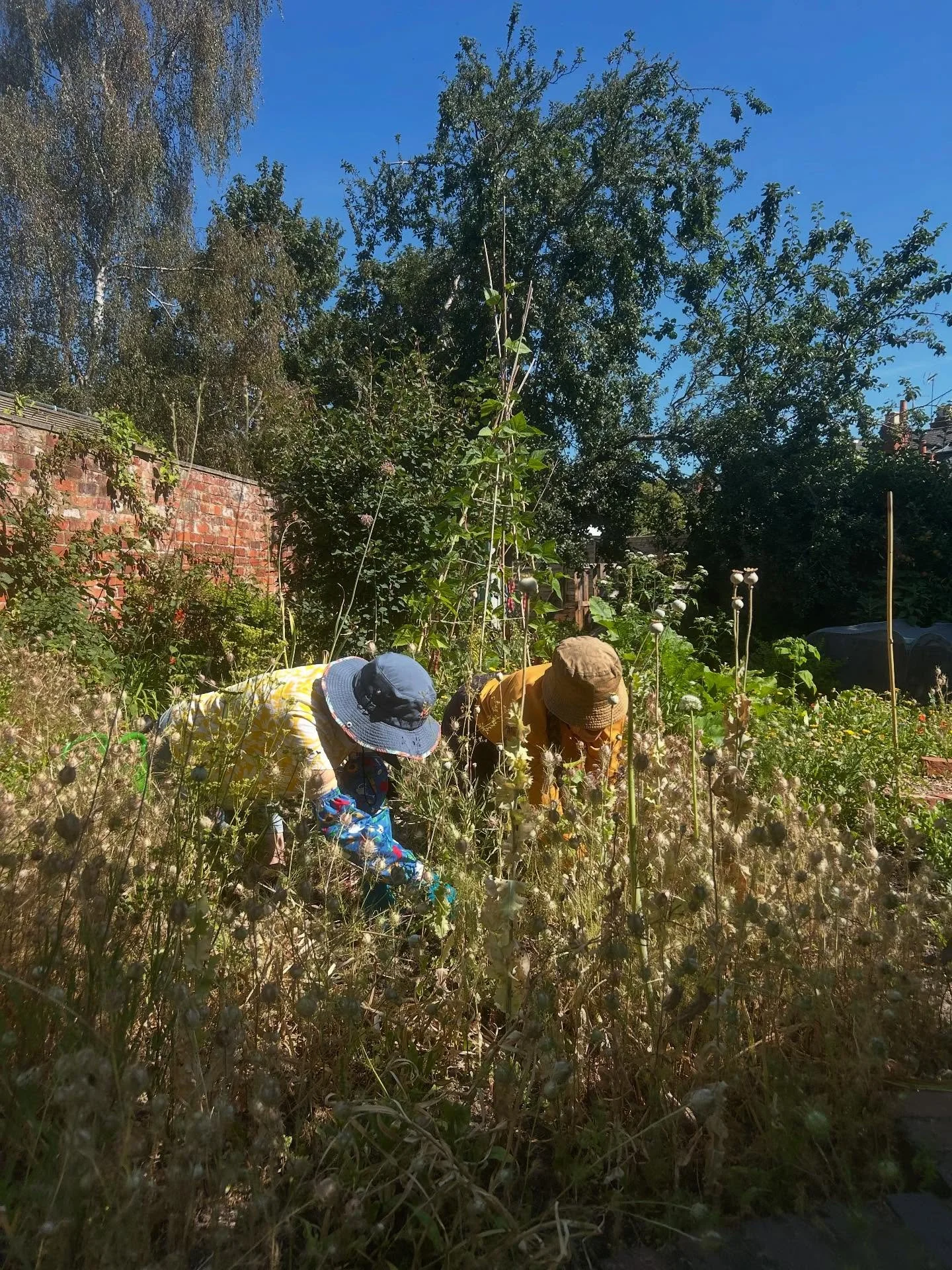 weeding 10-7-25.jpg