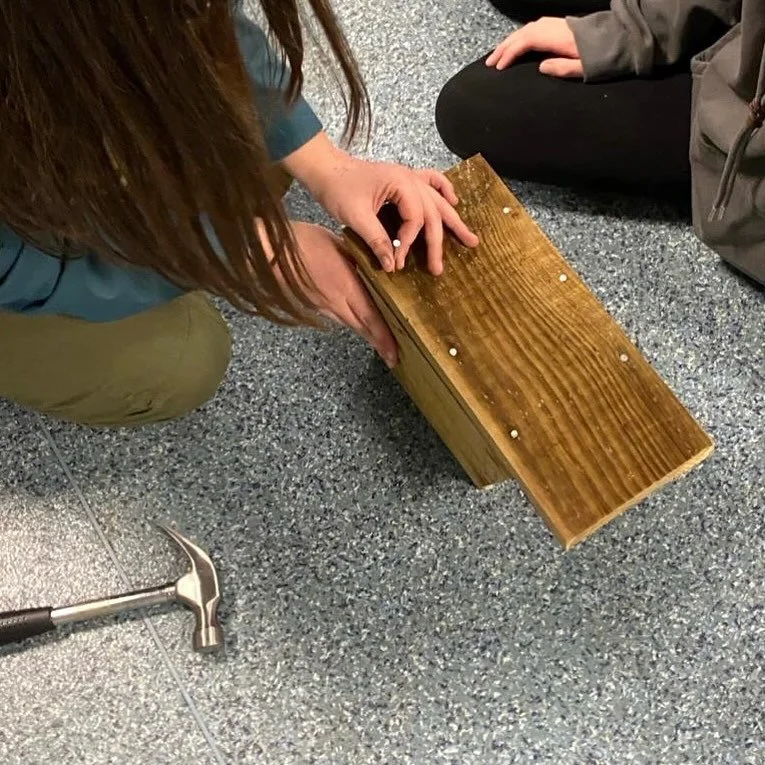 Bird box workshop
