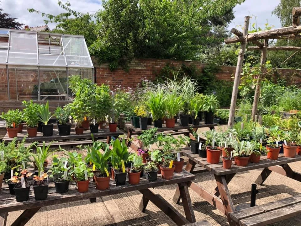 Plant sale