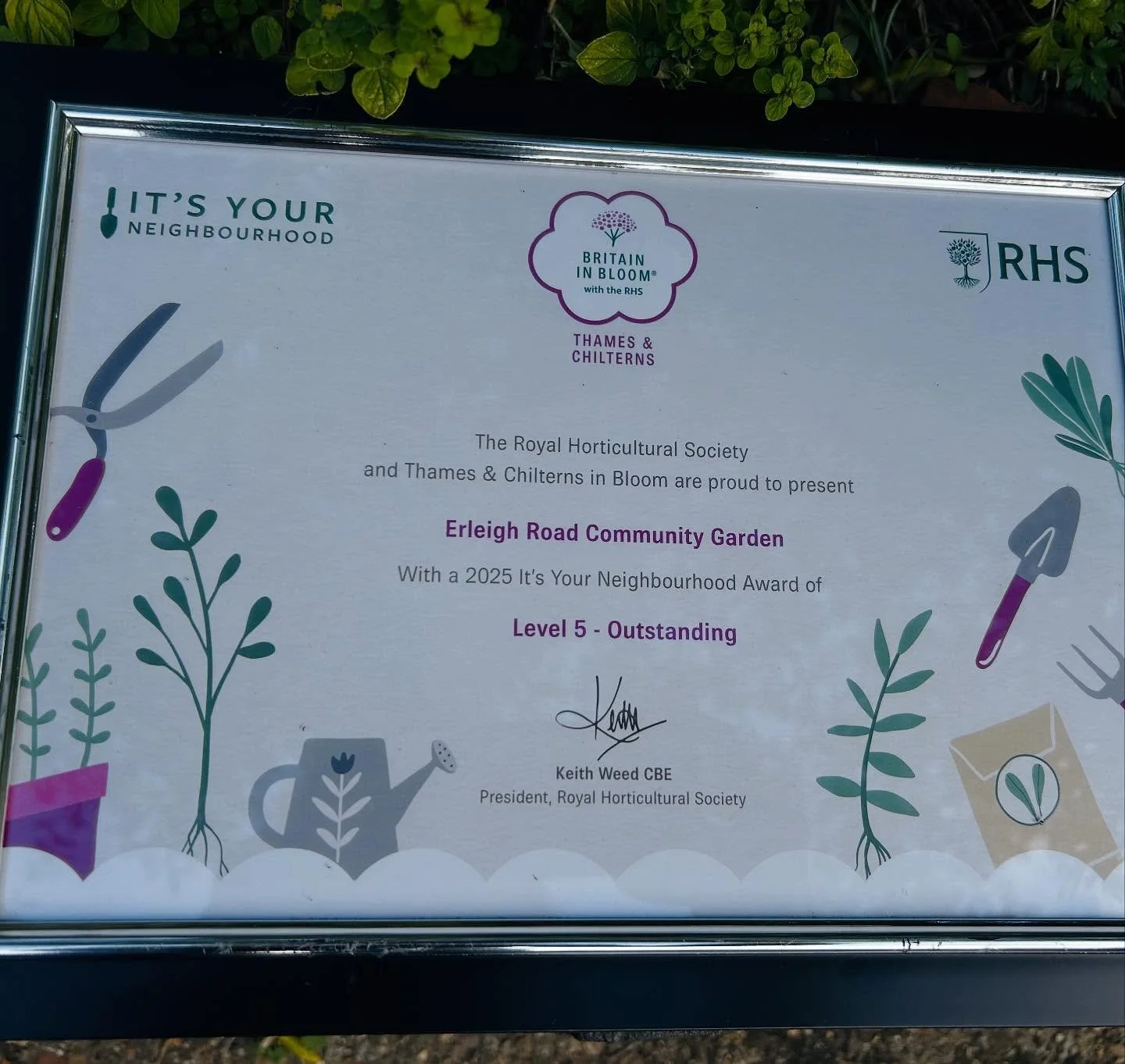 Awards in the 2025 RHS Thames and Chiltern Britain in Bloom