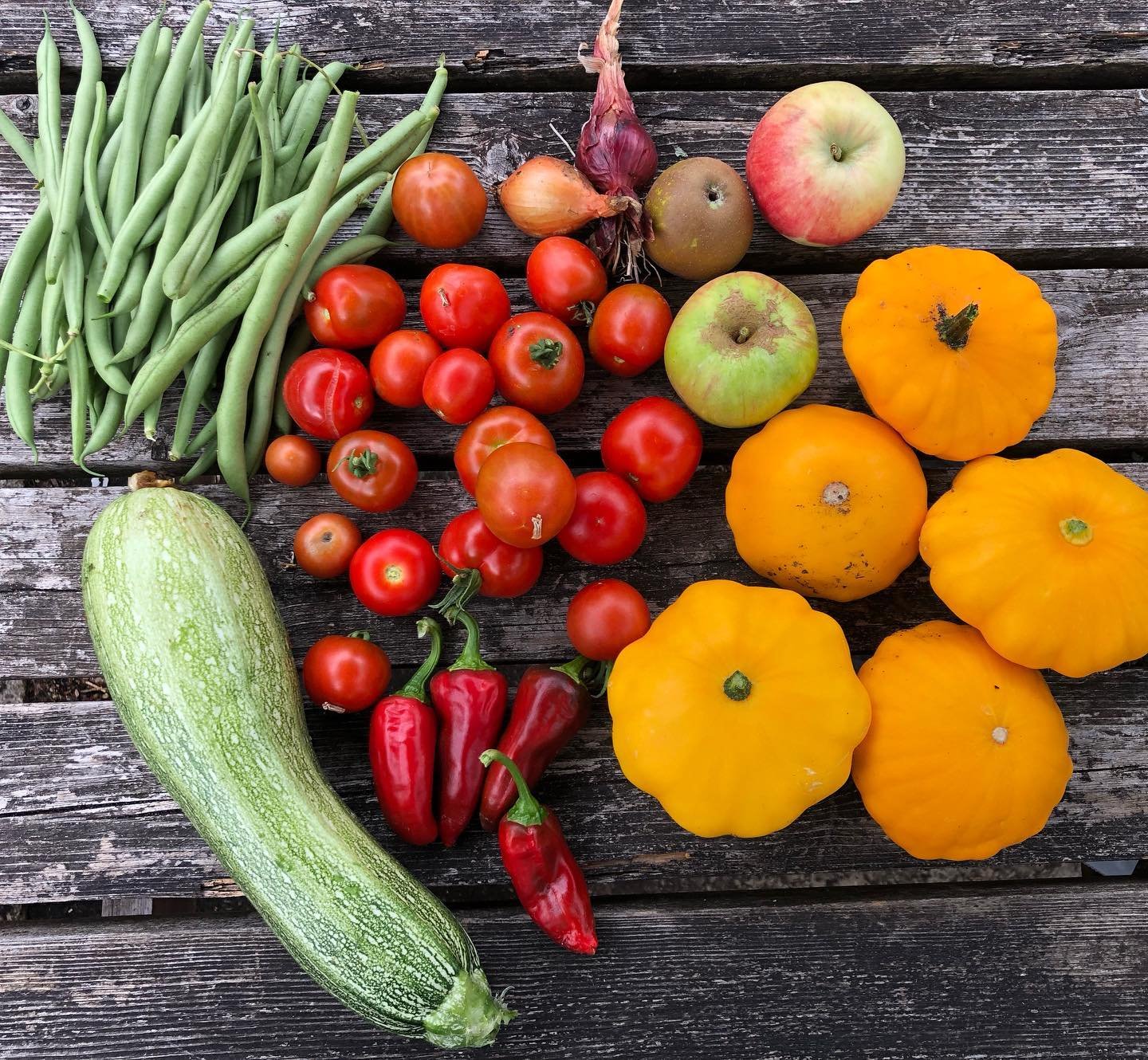 harvest 18-8-22.jpg