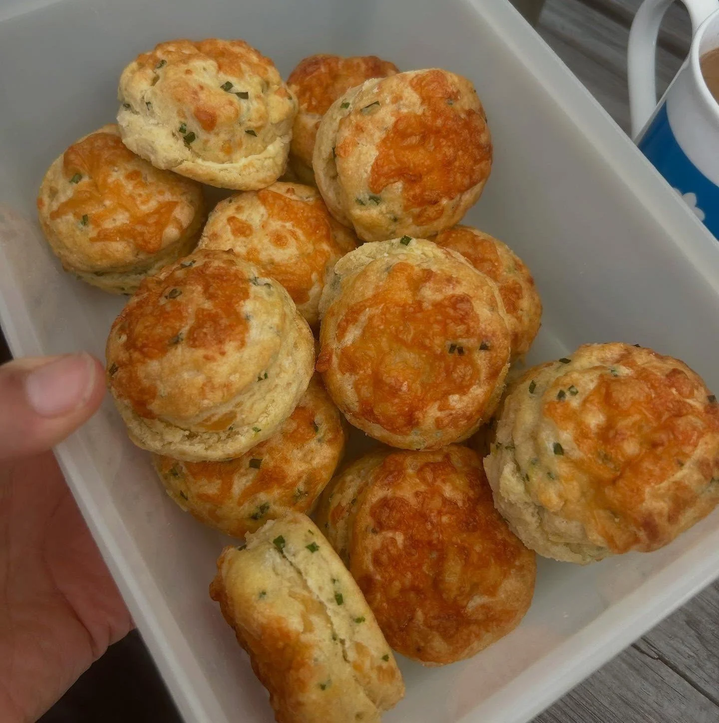 cheese scones in a plastic box