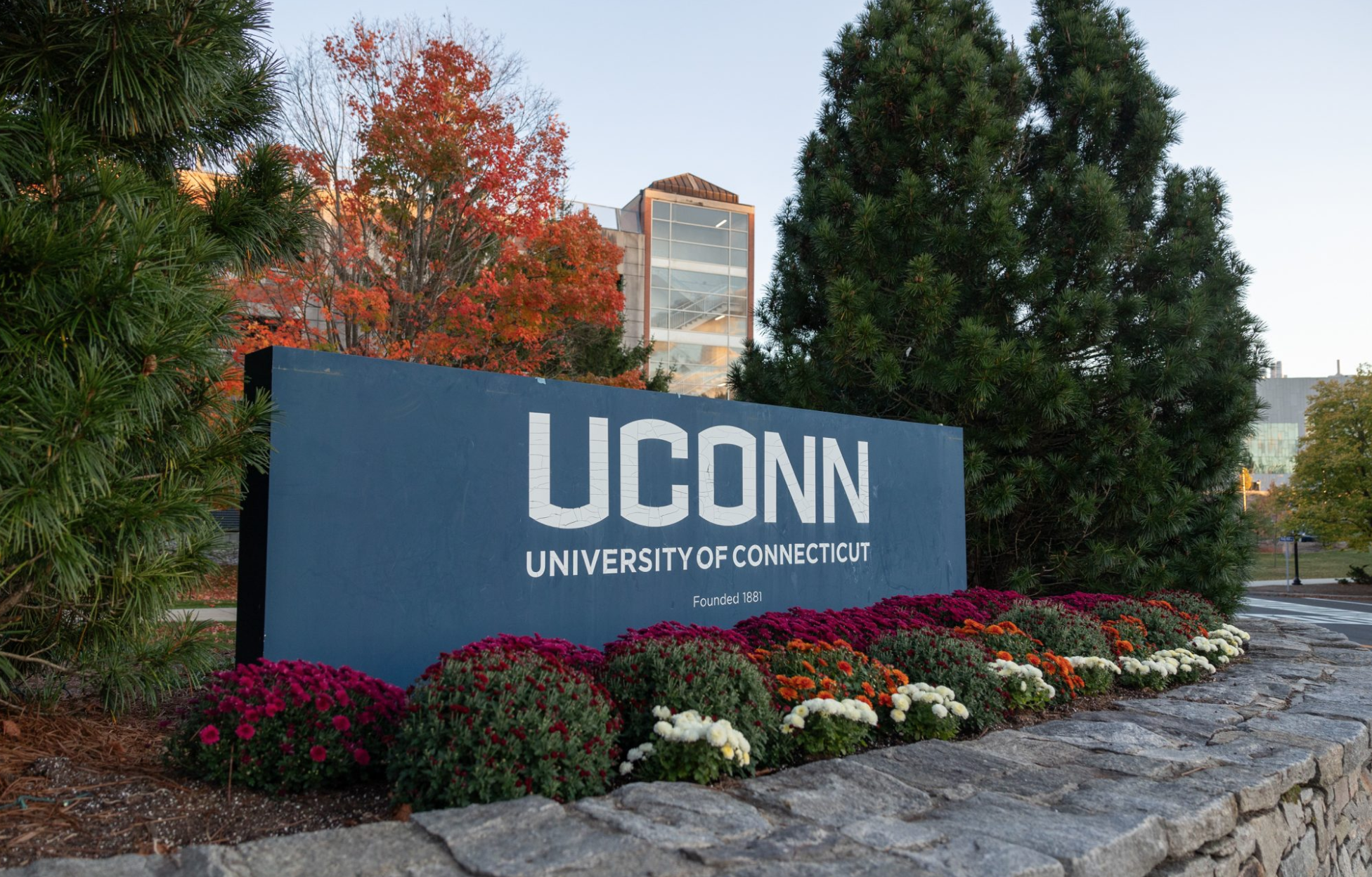 University of Connecticut sign at UConn campus, surrounded by fall foliage and flowers.