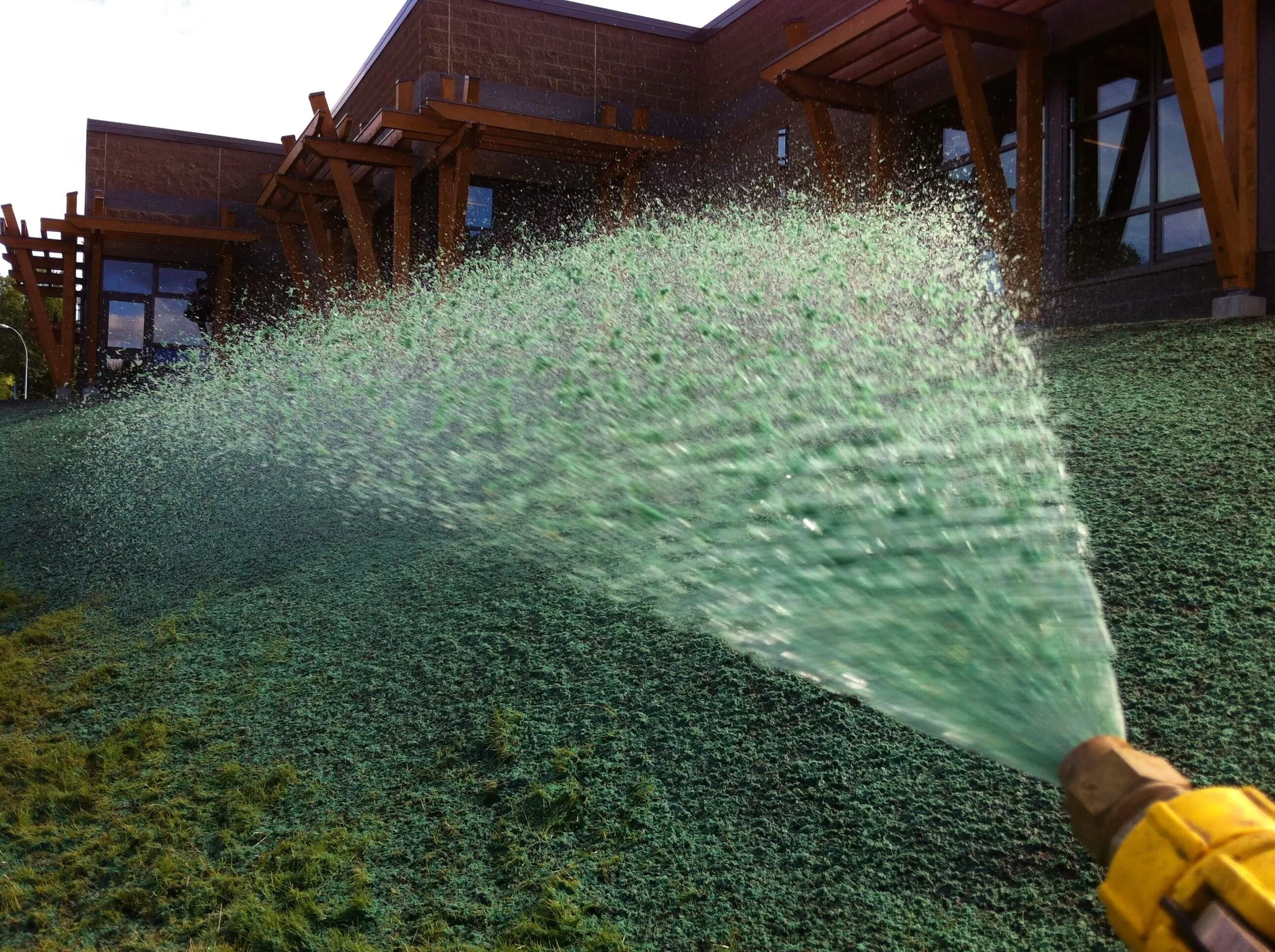 A person hydroseeding