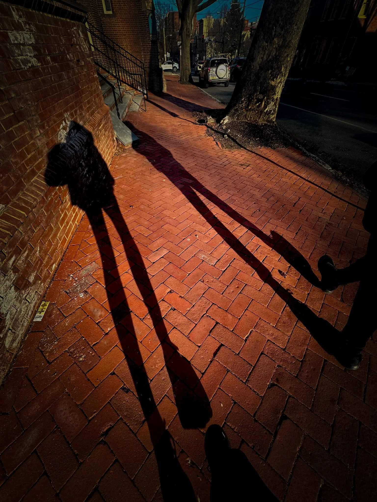 Legs.jpg