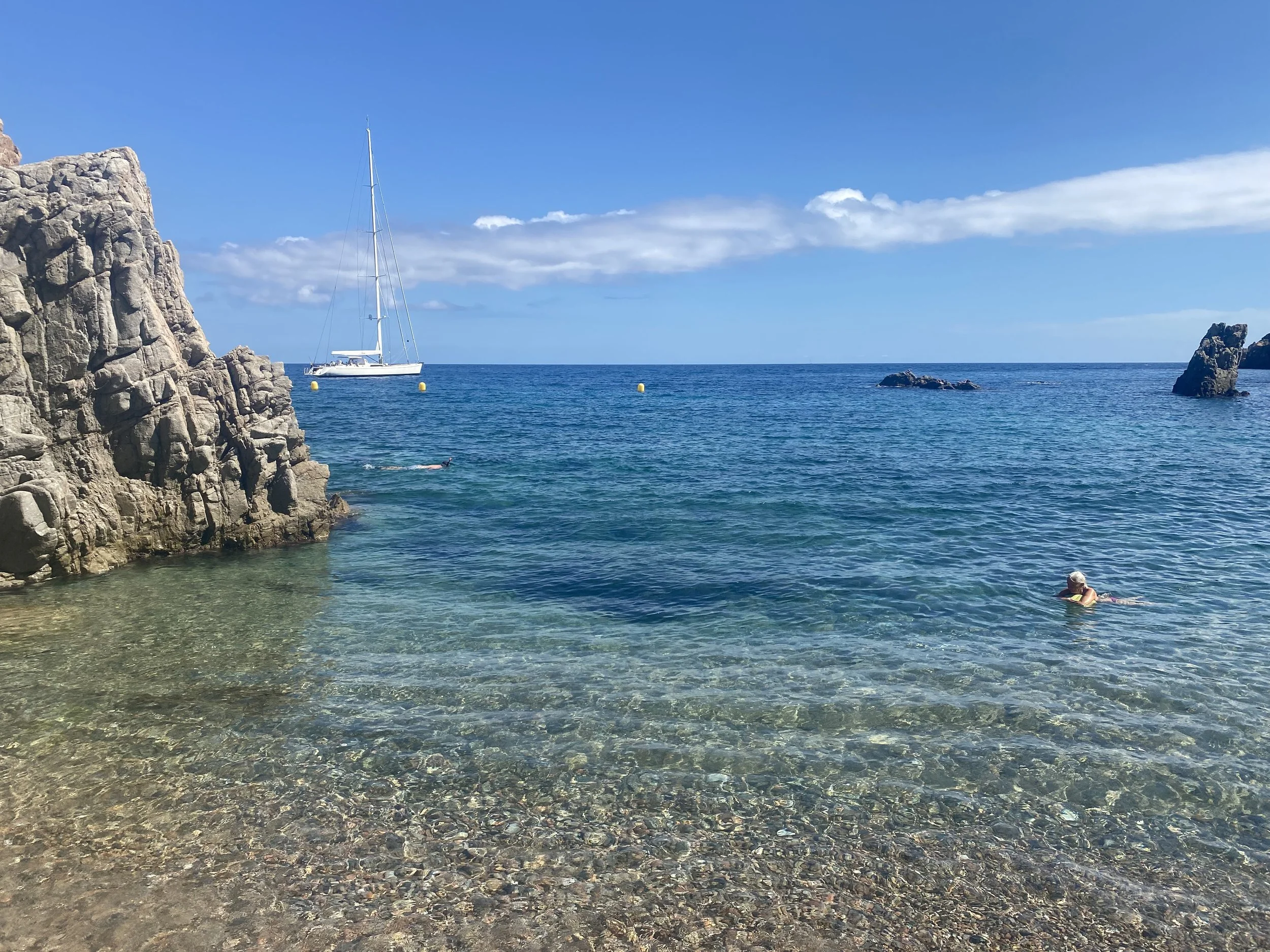 IMG_9320.jpeg