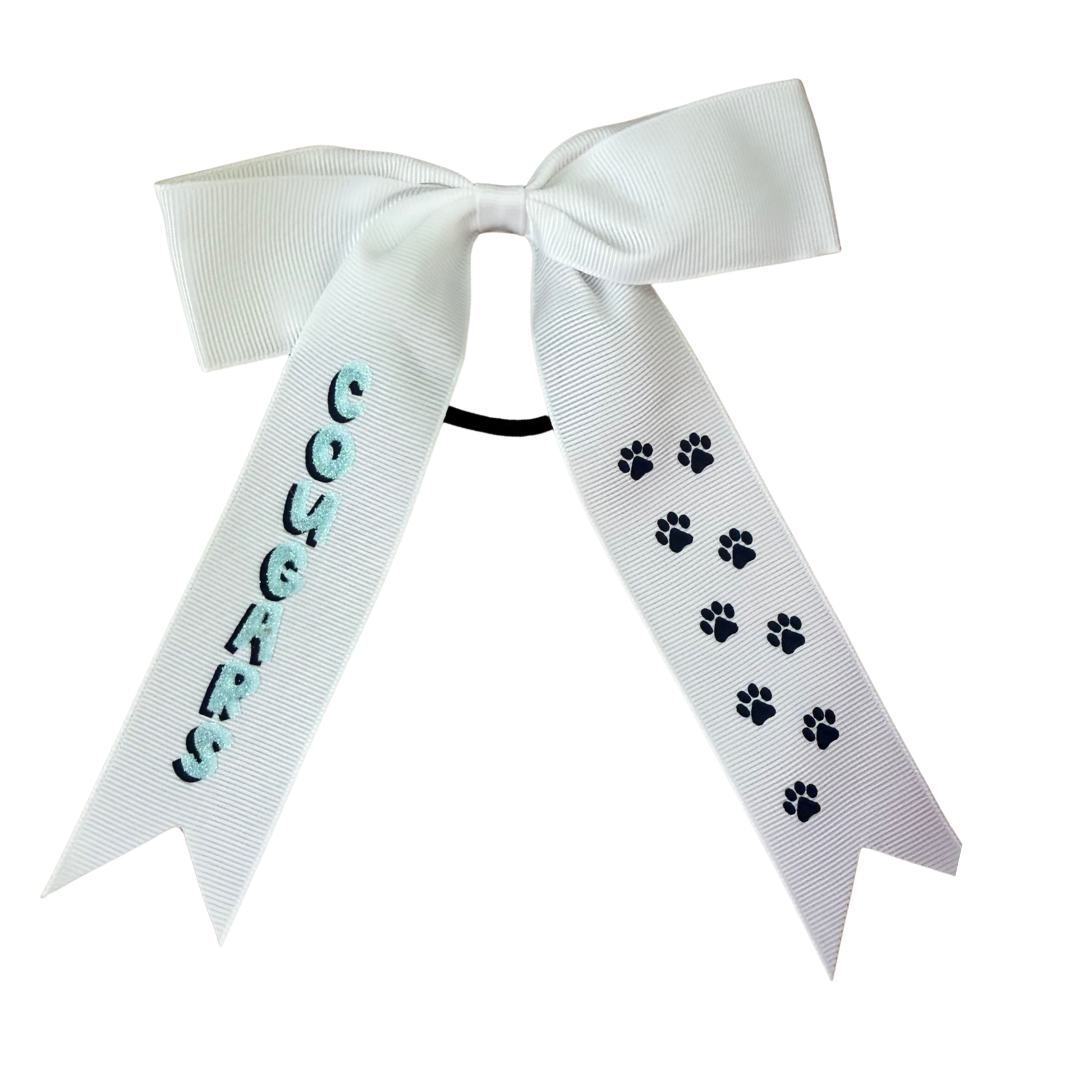 CCE School Spirit Streamer Bow