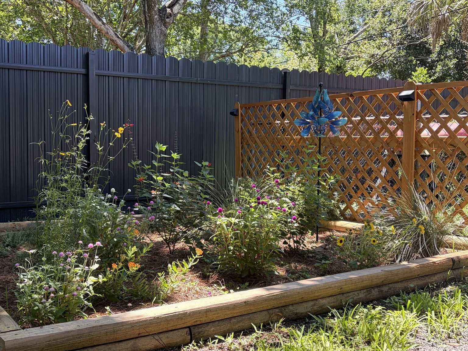 10' x 10' Pollinator Garden