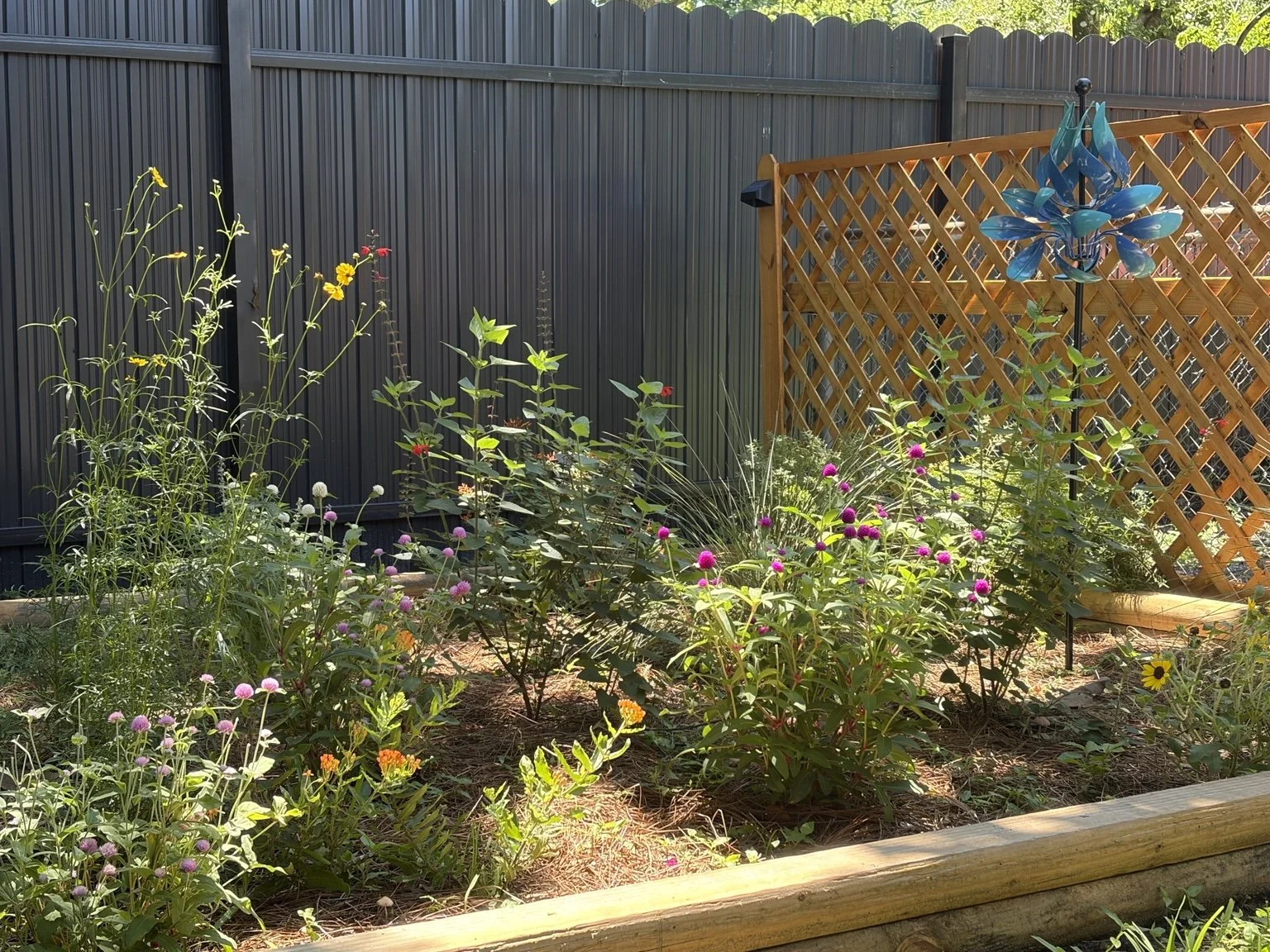 10' x 10' Pollinator Garden