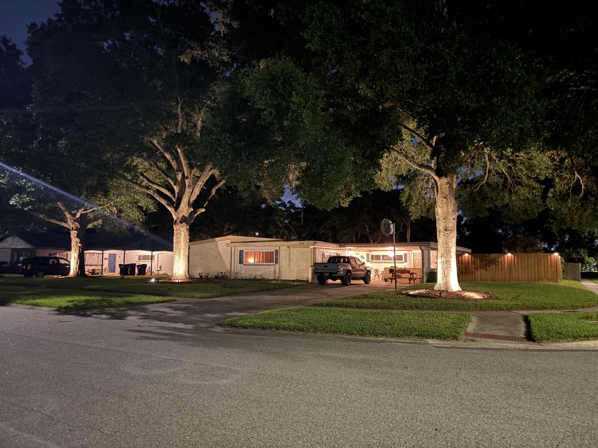 Oak Tree Up lighting 1