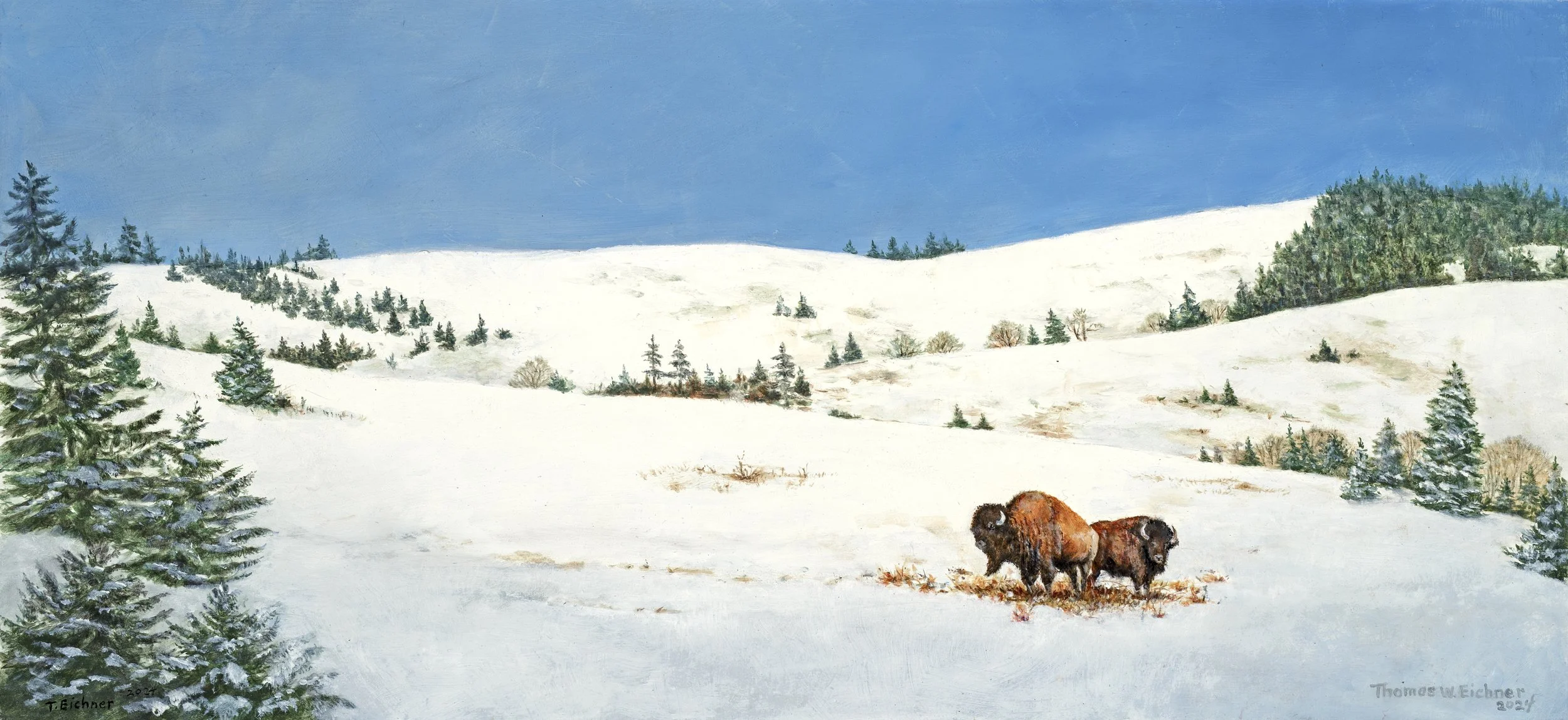 Buffalo Snow Scene
10" x 20"
Oil On Canvas