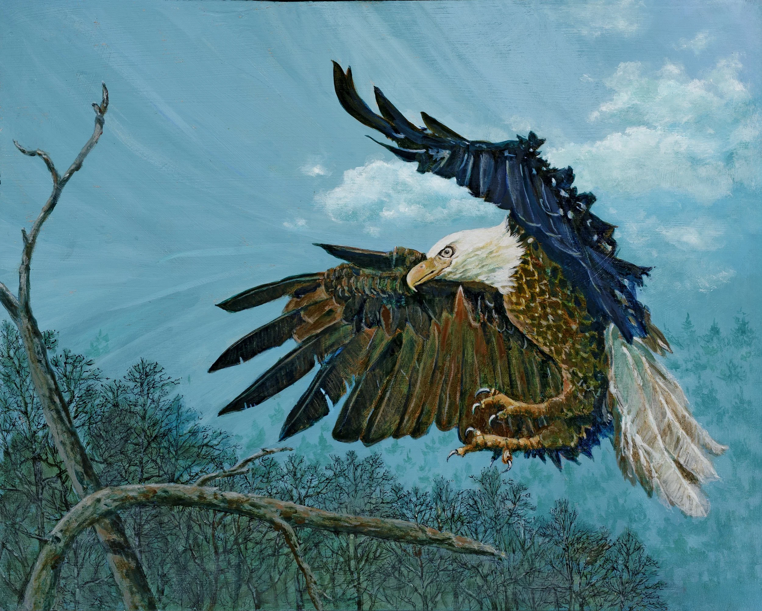 Bald Eagle
11"x14" 
Acrylic on Panel
