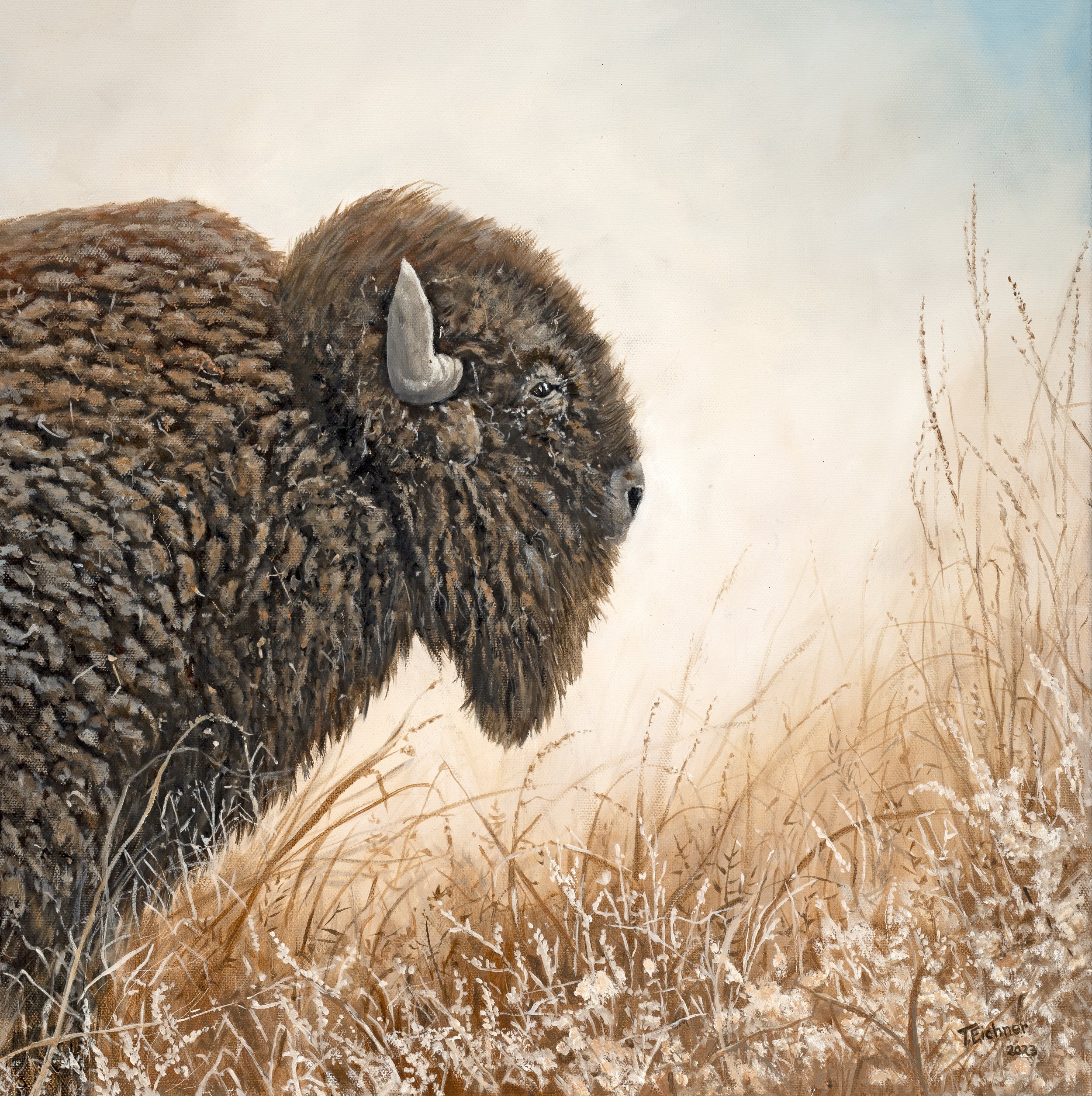 Buffalo (Beast #2)
24"x24"
Oil On Canvas