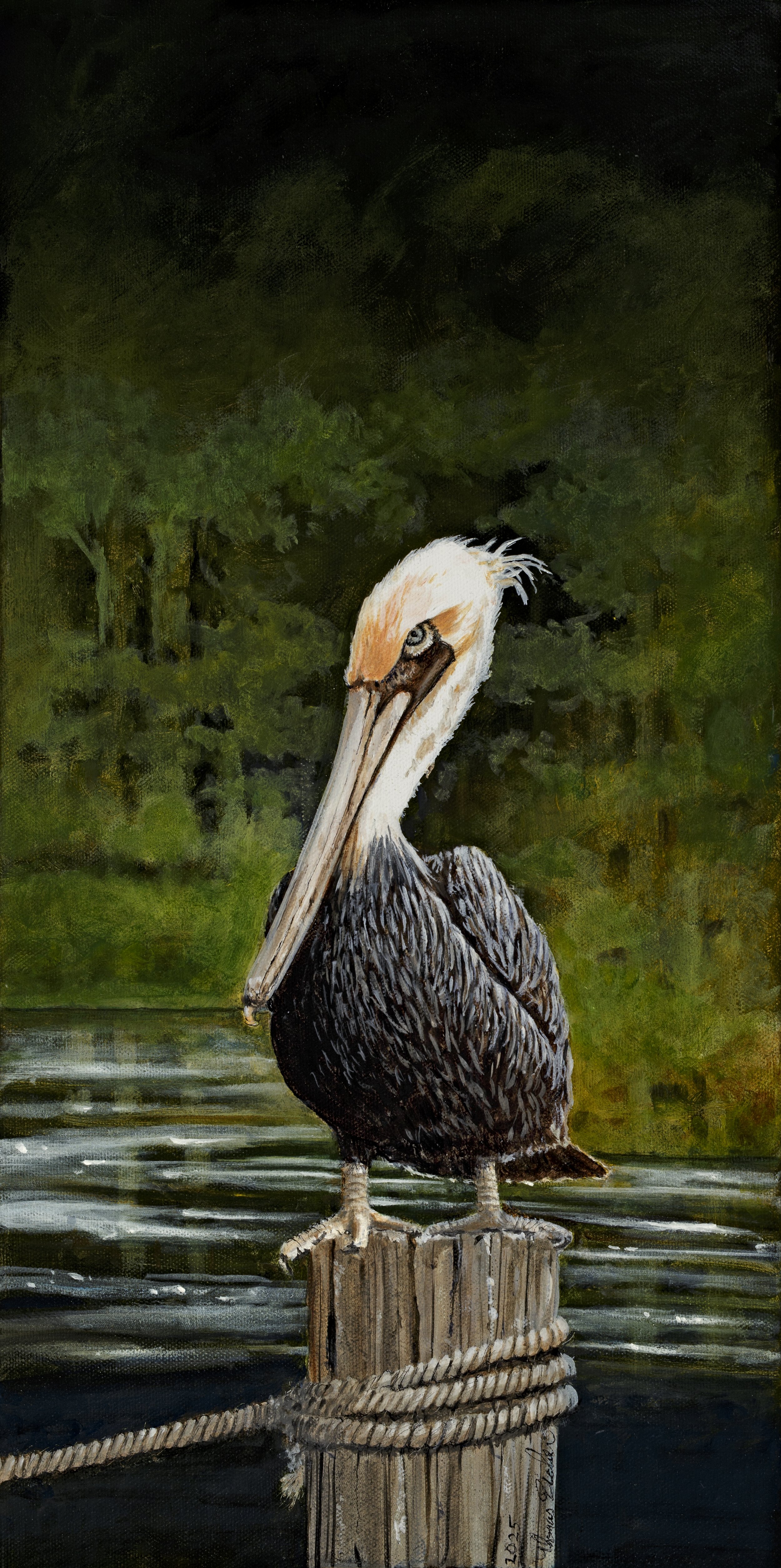 Pelican (Beast #4)
16"x20"
Oil On Canvas