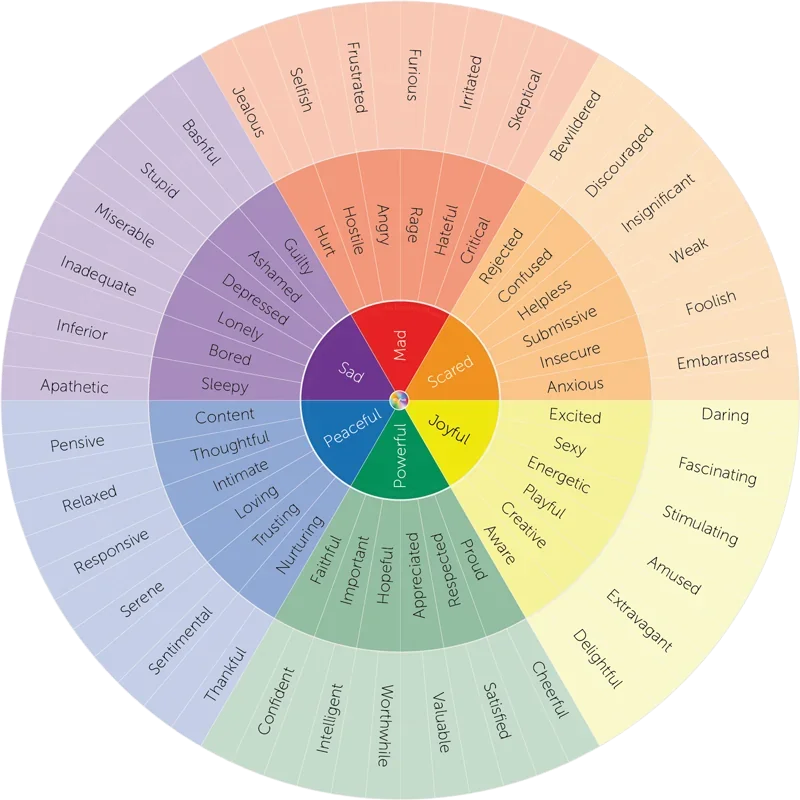 Naming What You Feel: A Gentle Guide to Emotional Awareness &amp; Regulation This Season"