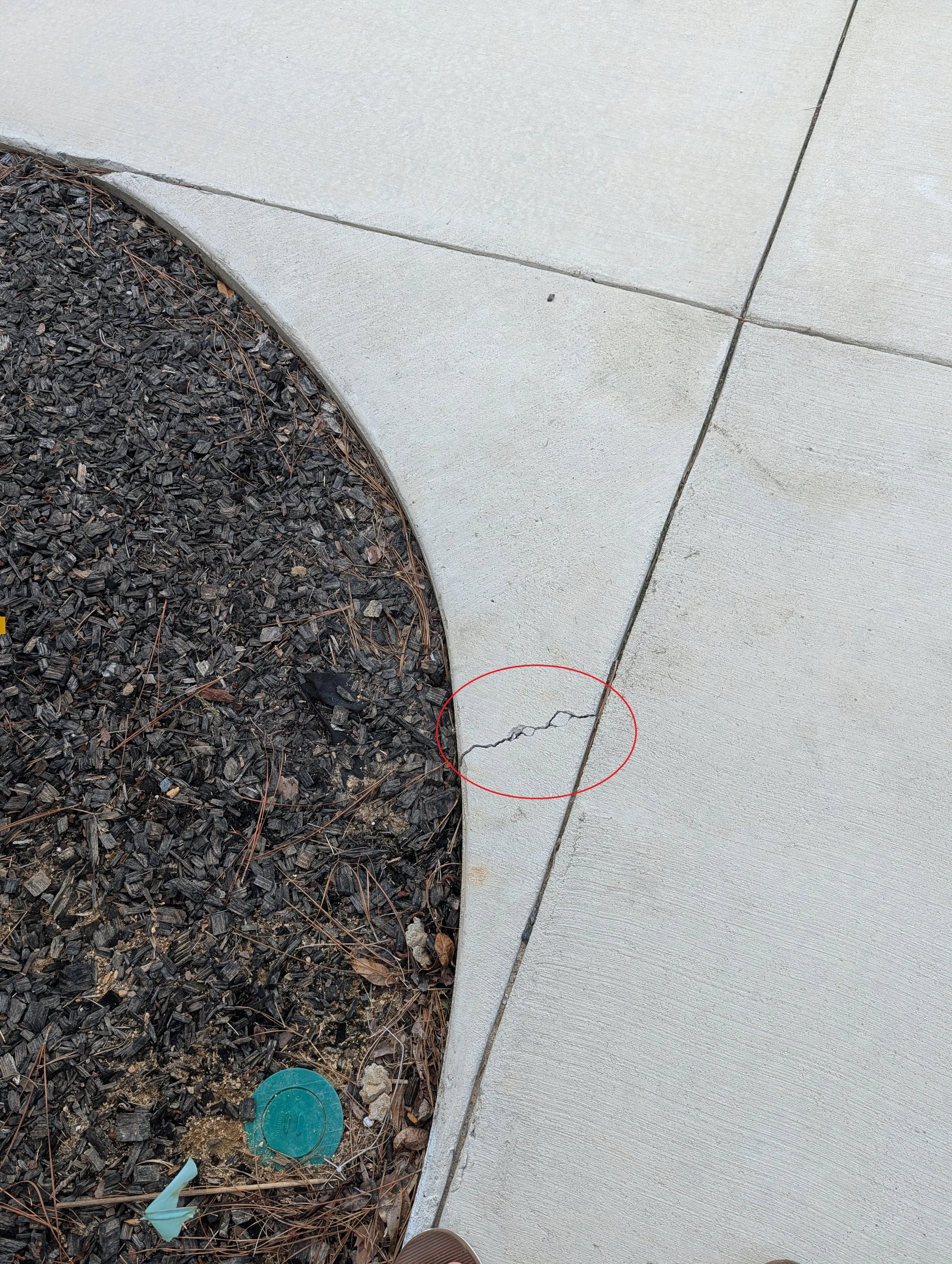 Concrete sidewalk with visible cracks circled in red, adjacent to a bed of dark mulch with fallen leaves and debris, including a discarded plastic item and part of a blue bottle cap, with a person's shoe at the bottom of the frame.